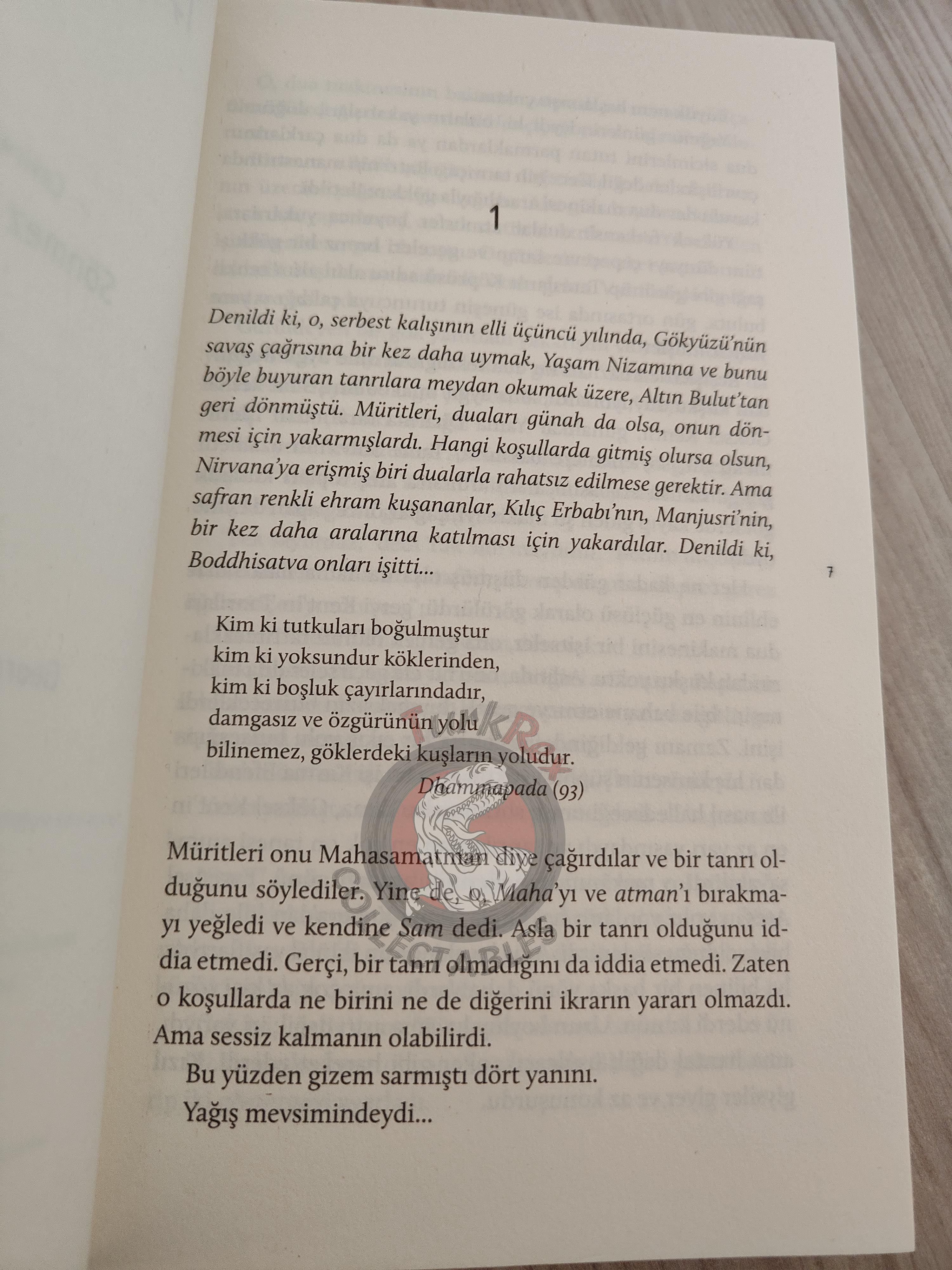 Roger Zelazny  – Lord of Light 2017 Turkish Book Turkey