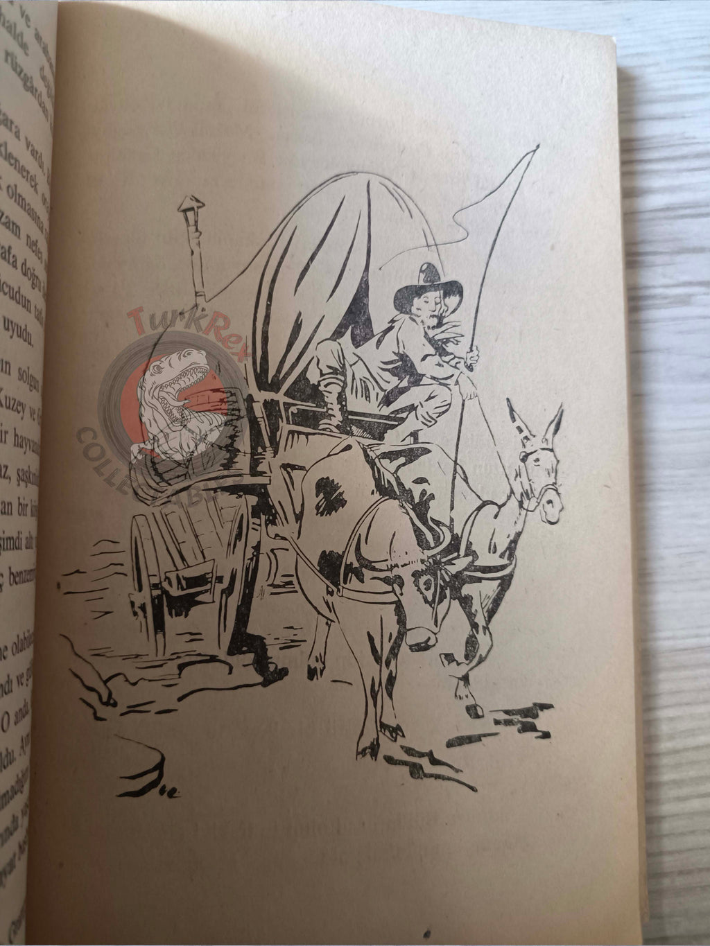 G. Martina – Pecos Bill 1967Turkish Book Turkey Illustrated