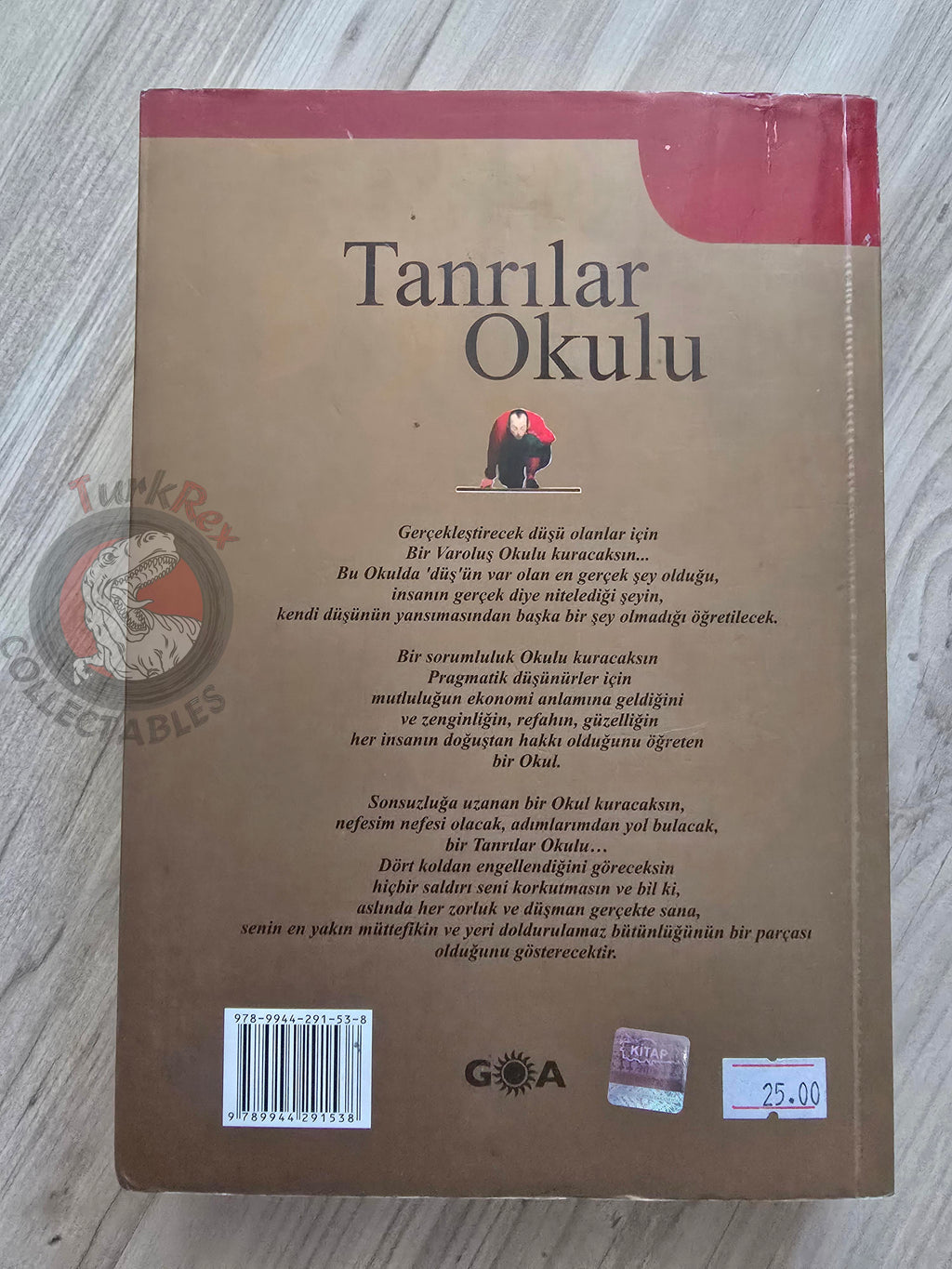 Stefano Elio D'Anna – The School for Gods 2009 Turkish Book Turkey