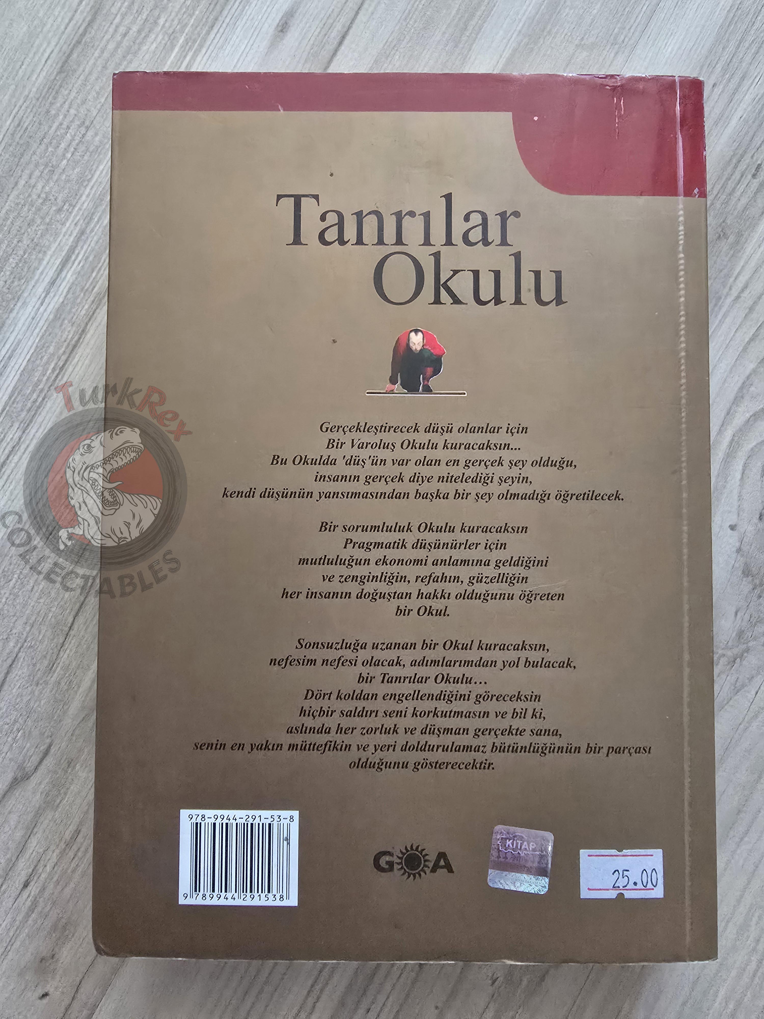Stefano Elio D'Anna – The School for Gods 2009 Turkish Book Turkey