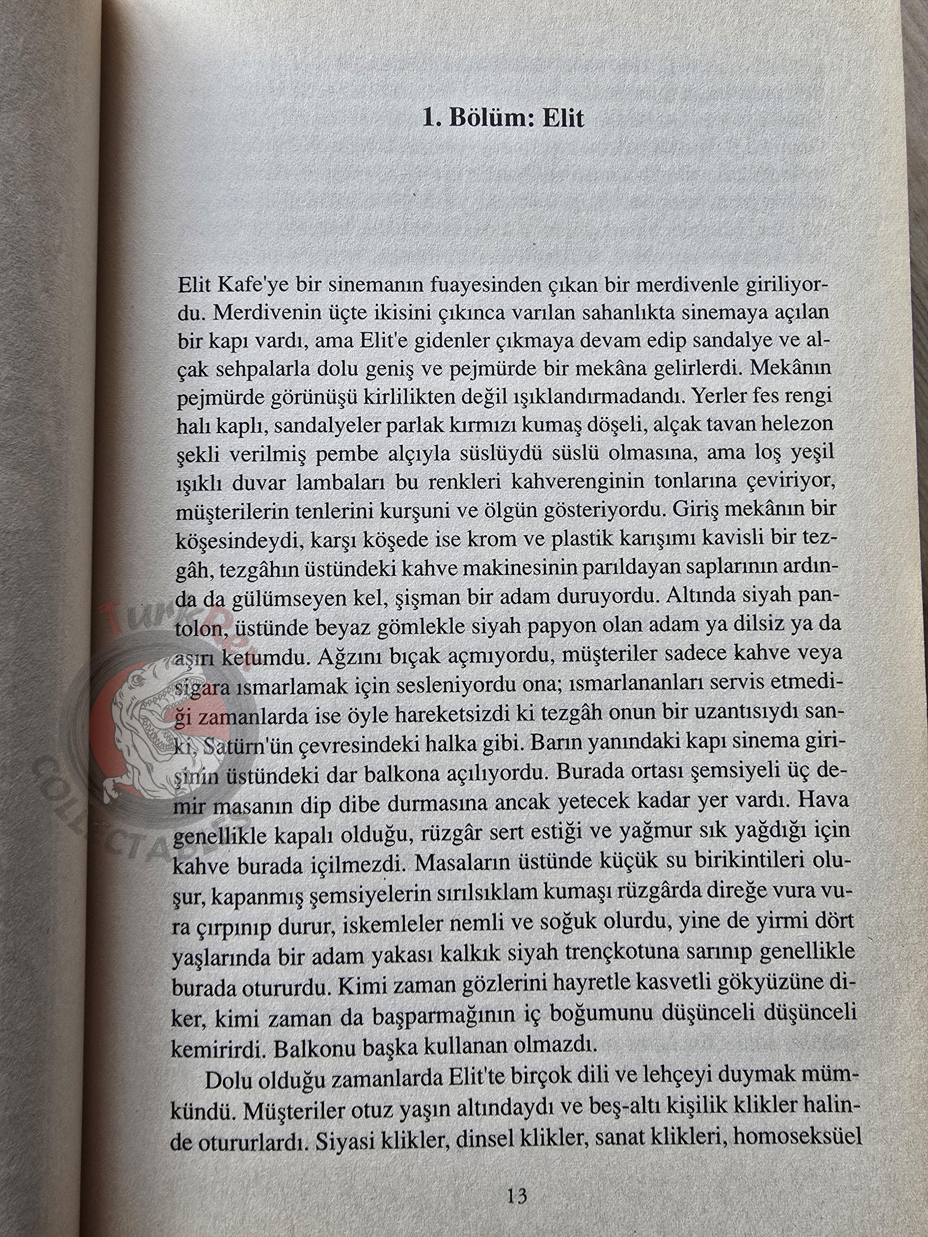Alasdair Gray – A Life in Four Books 2009 1st Turkish Book Turkey