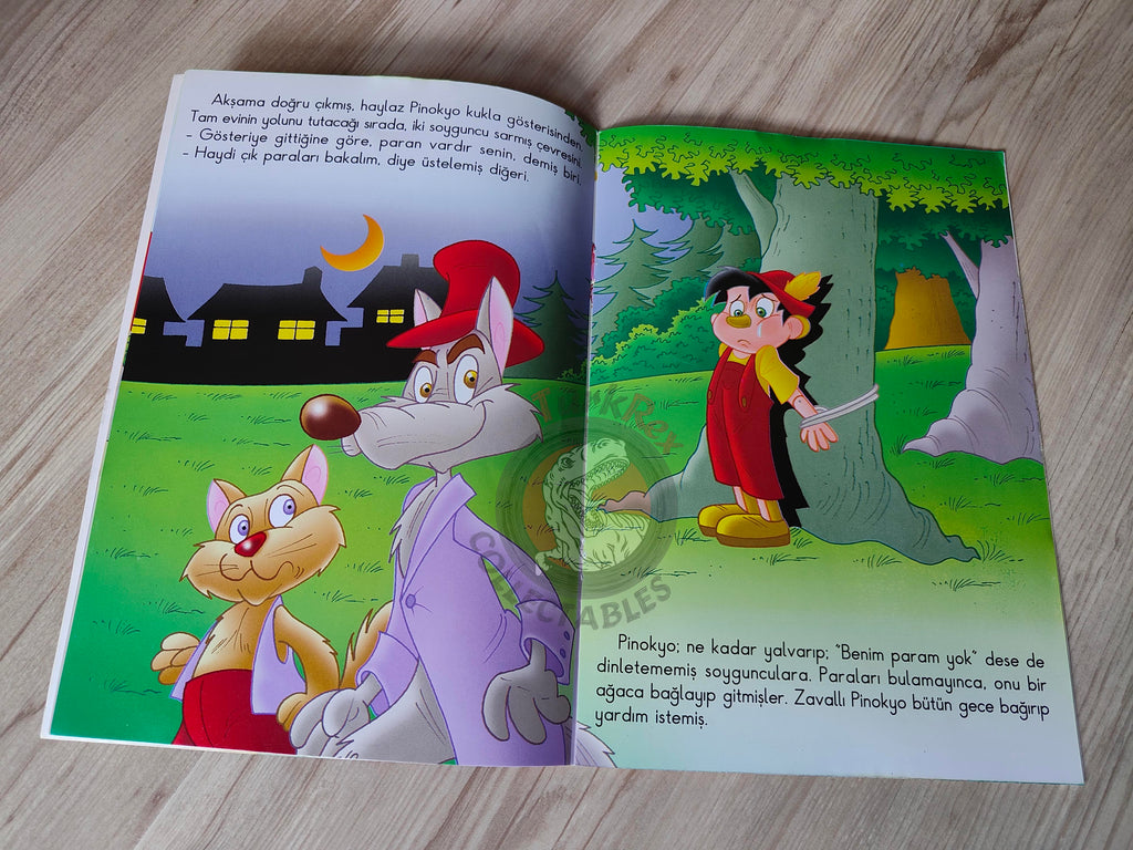 Carlo Collodi – Pinocchio 2011 Turkish Book Turkey Illustrated