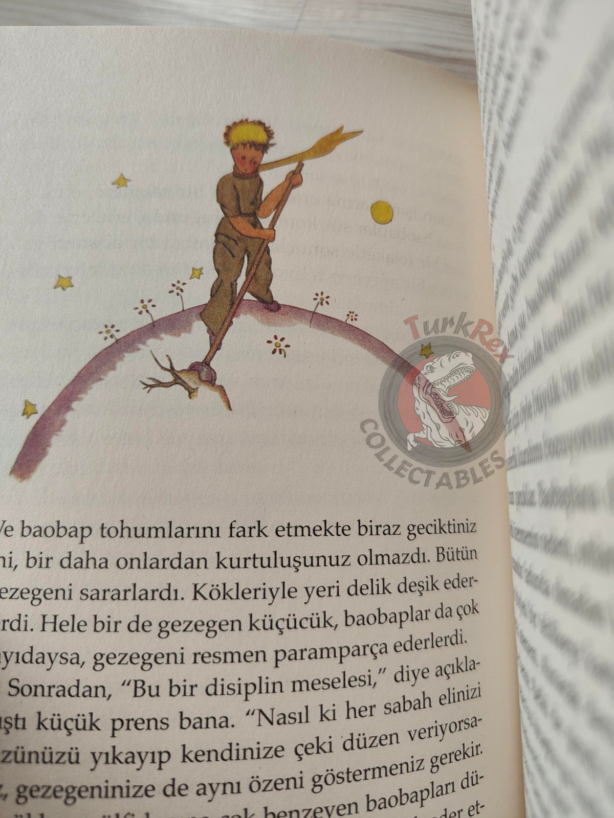 Antoine de Saint-Exupéry – Le Petit Prince 2015 Turkish Book Turkey Illustrated Little 1