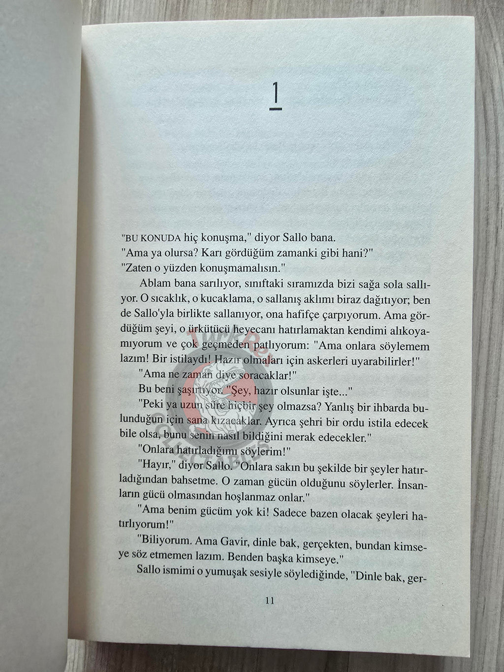Ursula K. Le Guin – Powers 2010 Turkish Book Turkey