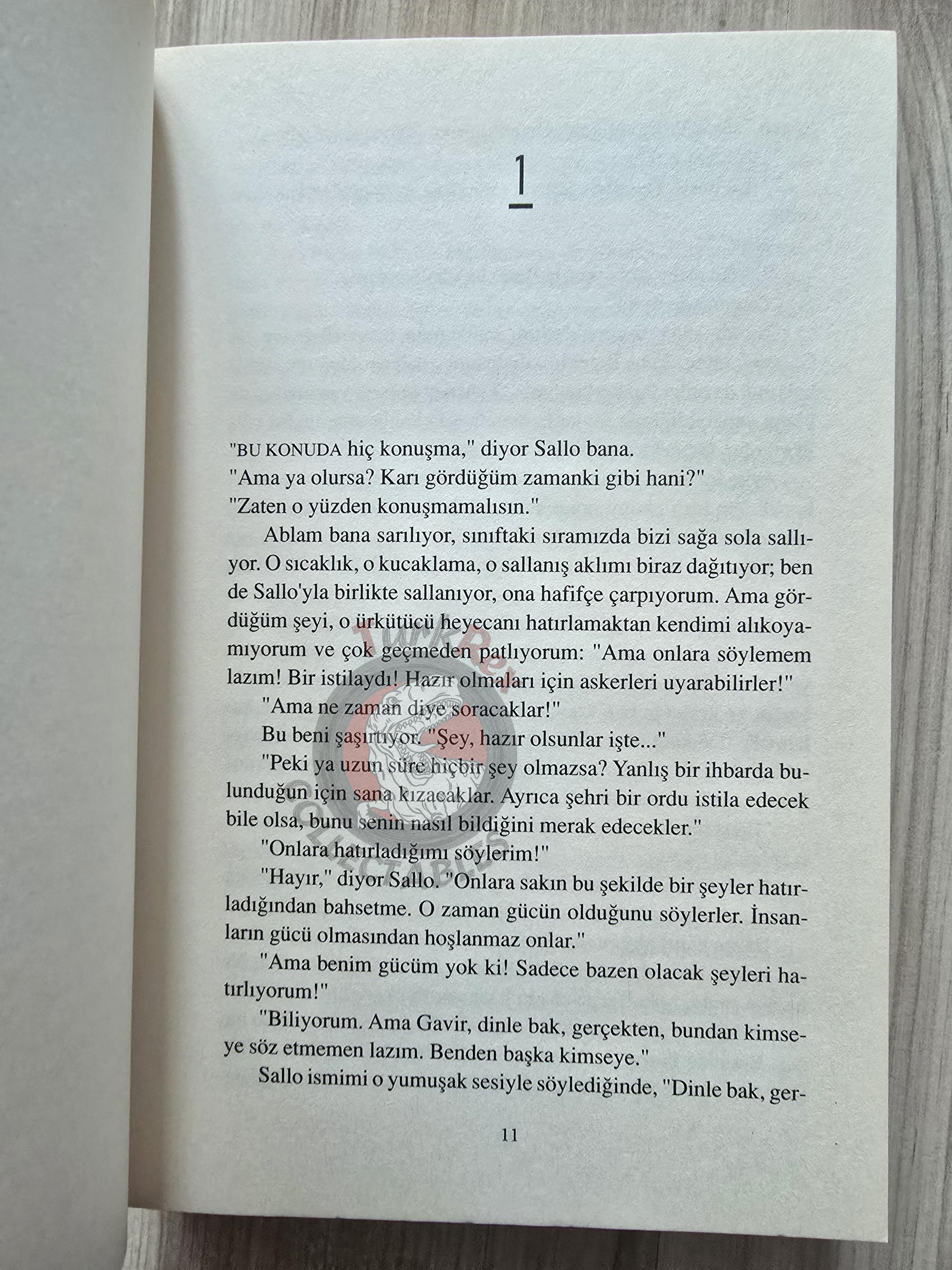 Ursula K. Le Guin – Powers 2010 Turkish Book Turkey