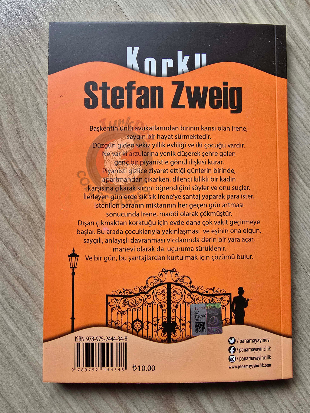 Stefan Zweig – Fear Turkish Book Turkey Angst