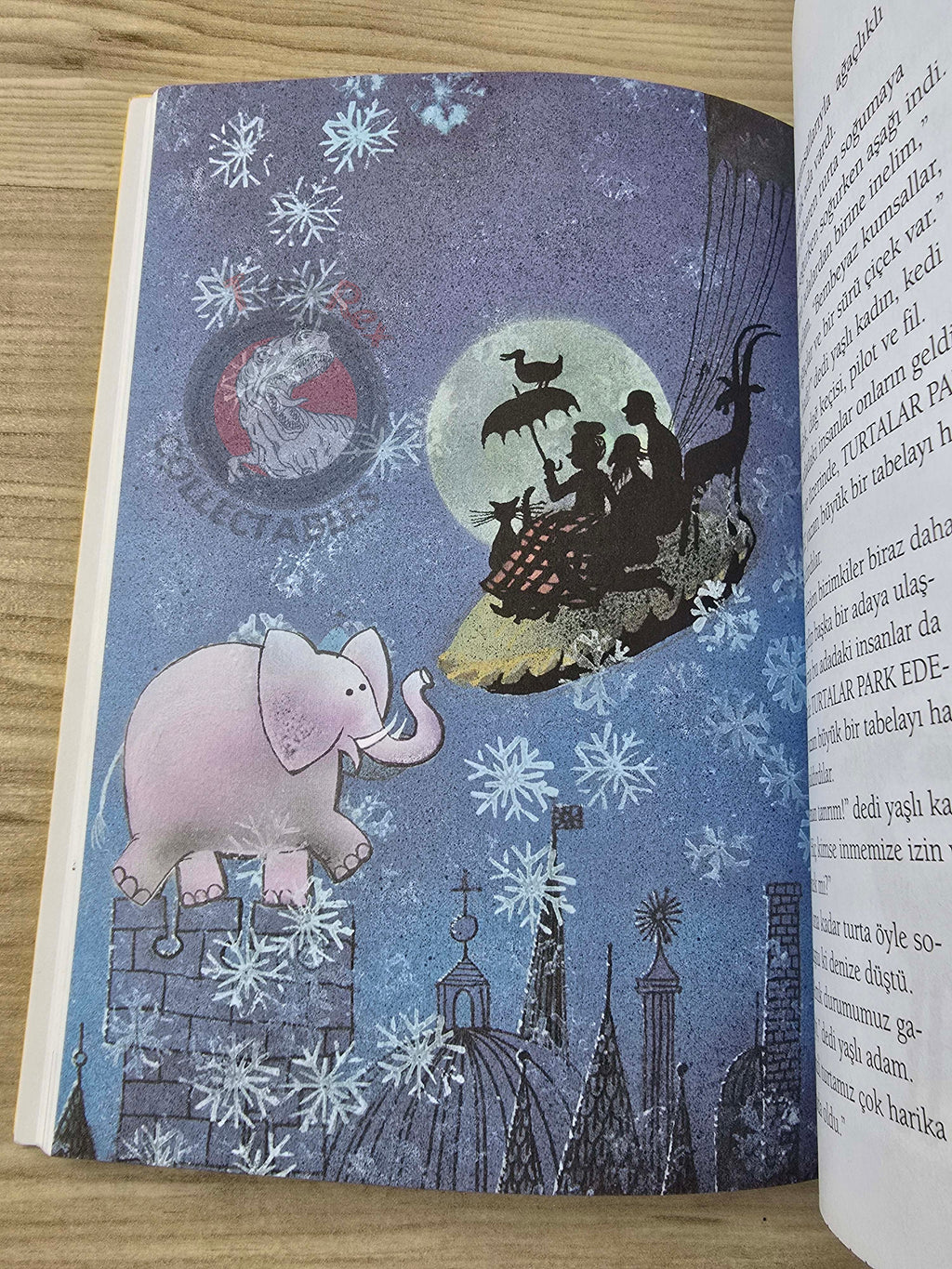 Joan Aiken – A Necklace of Raindrops 2011 1st Turkish Book Turkey Illustrated