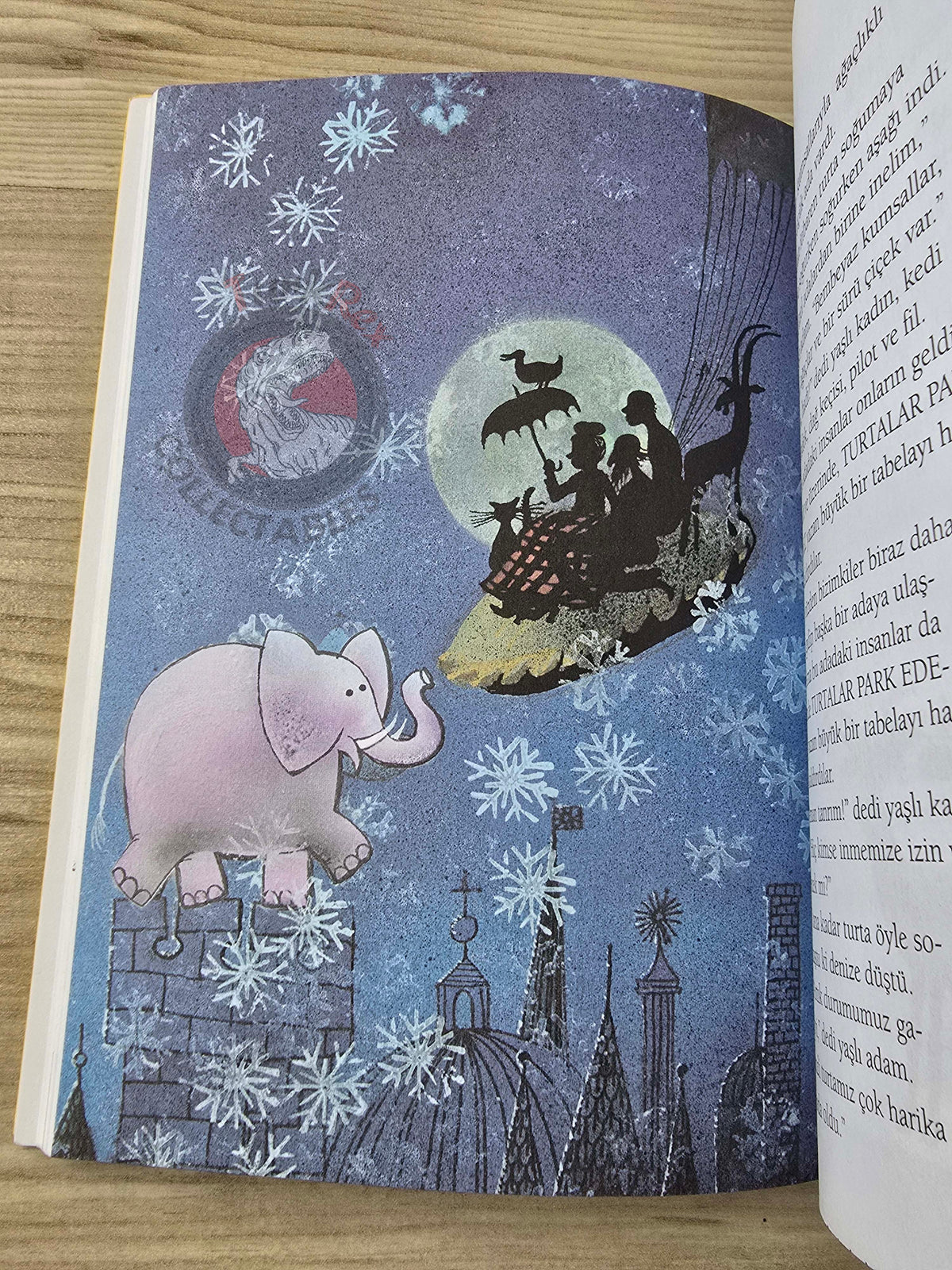 Joan Aiken – A Necklace of Raindrops 2011 1st Turkish Book Turkey Illustrated