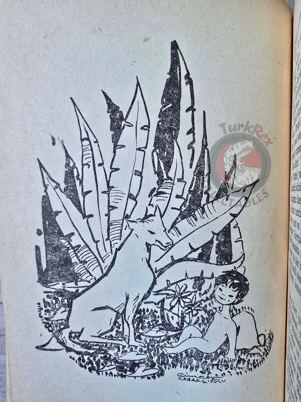 Rudyard Kipling – The Jungle Book 1957 Turkish Book Turkey Illustrated