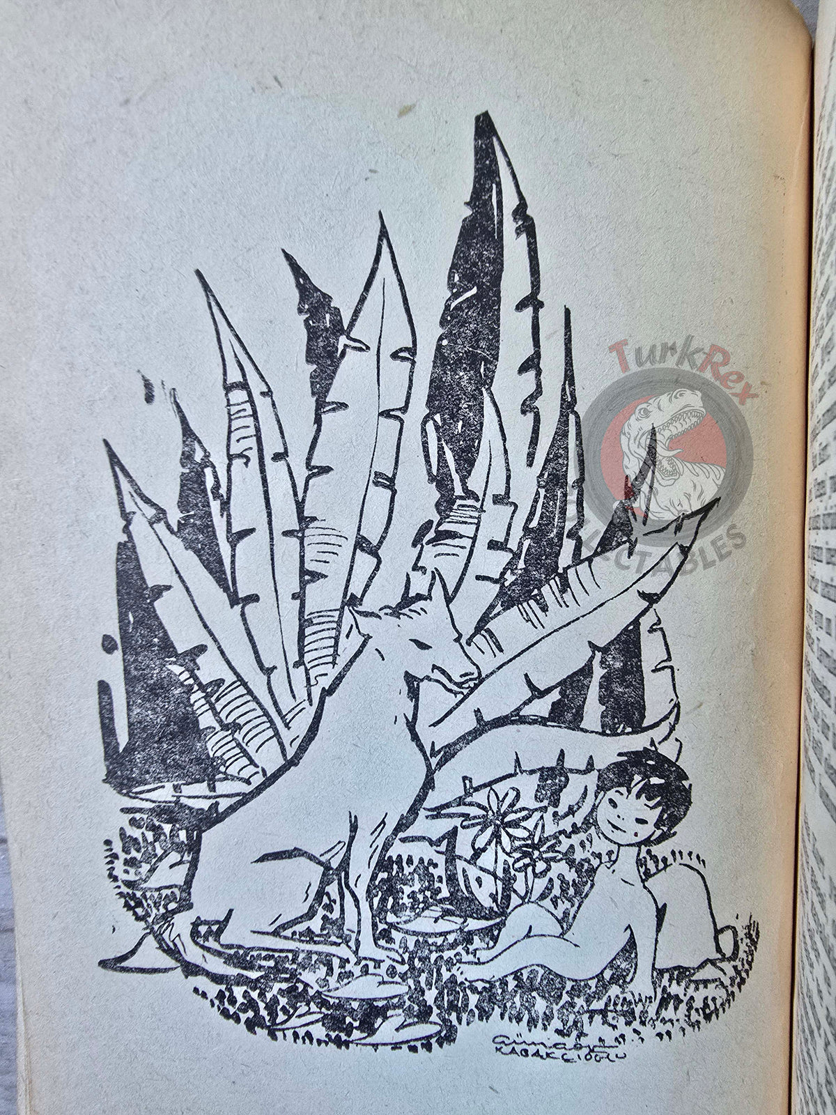 Rudyard Kipling – The Jungle Book 1957 Turkish Book Turkey Illustrated