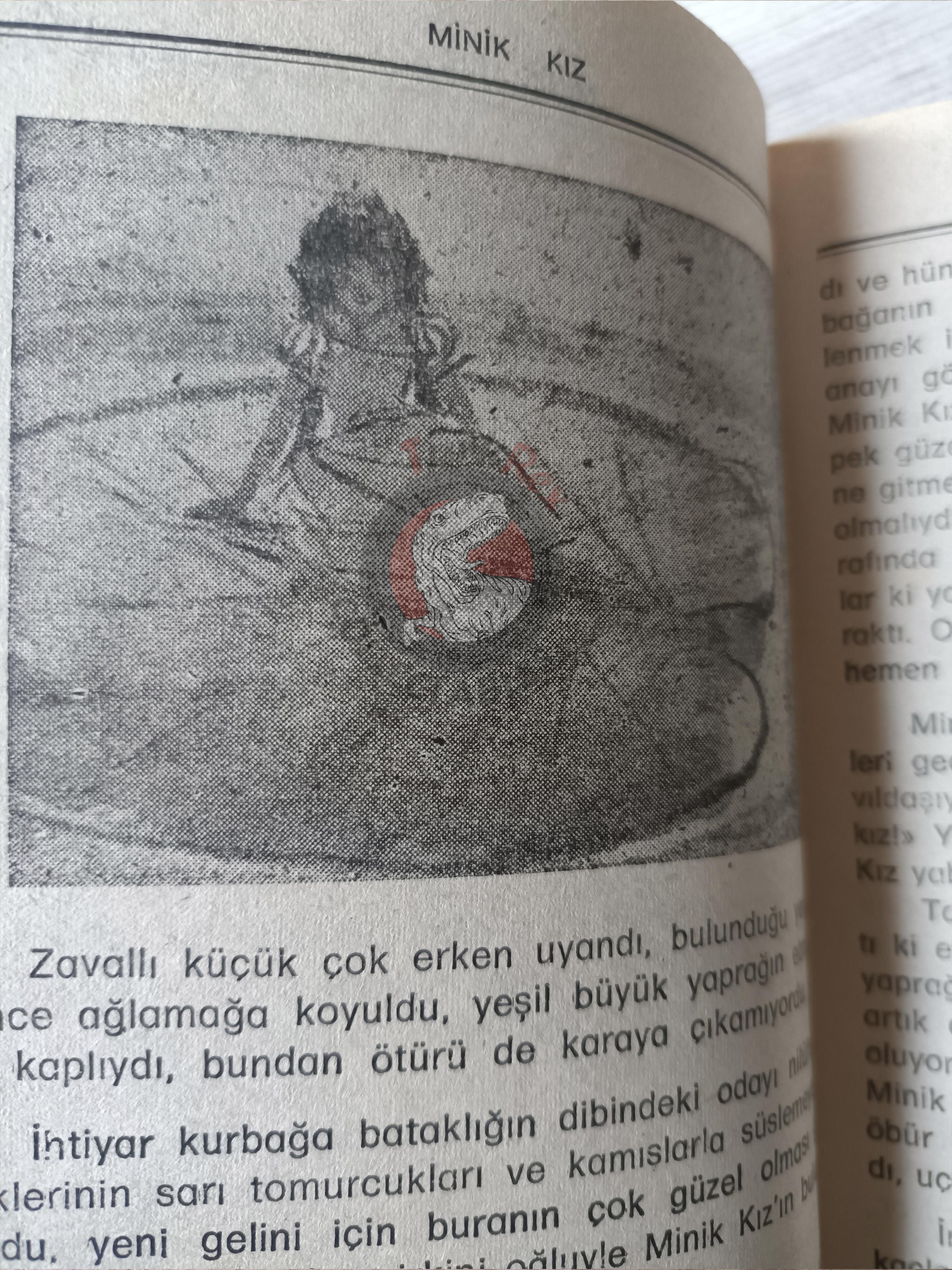 Hans Christian Andersen –  Andersen's Fairy Tales 1982 Turkish Book Turkey Illustrated