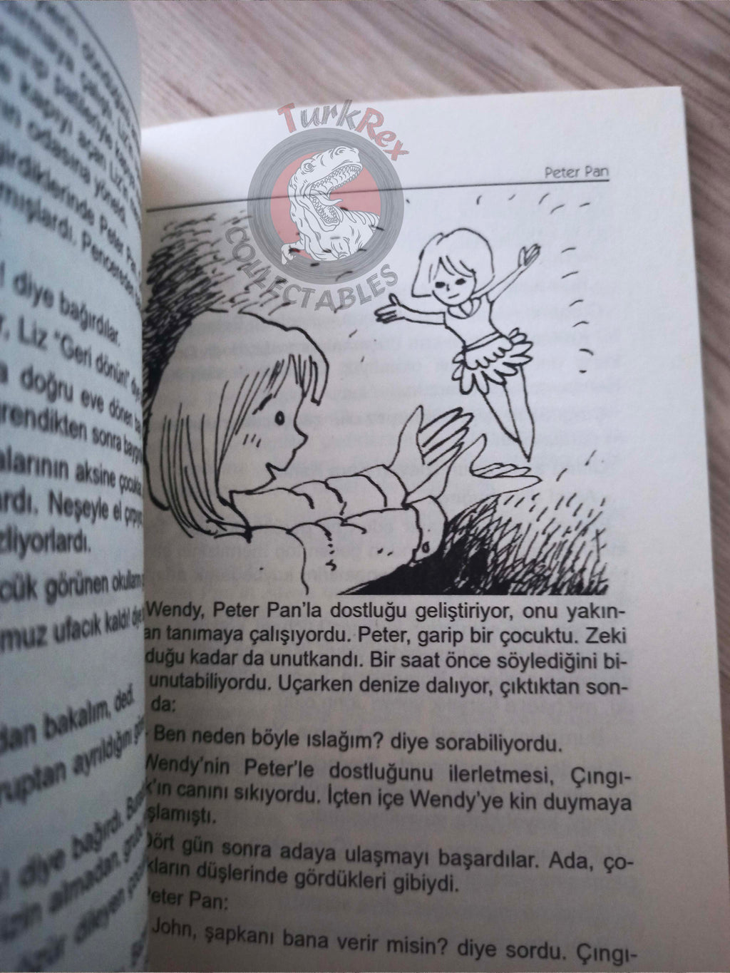 J. M. Barrie – Peter Pan 2011 Turkish Book Turkey Illustrated 2
