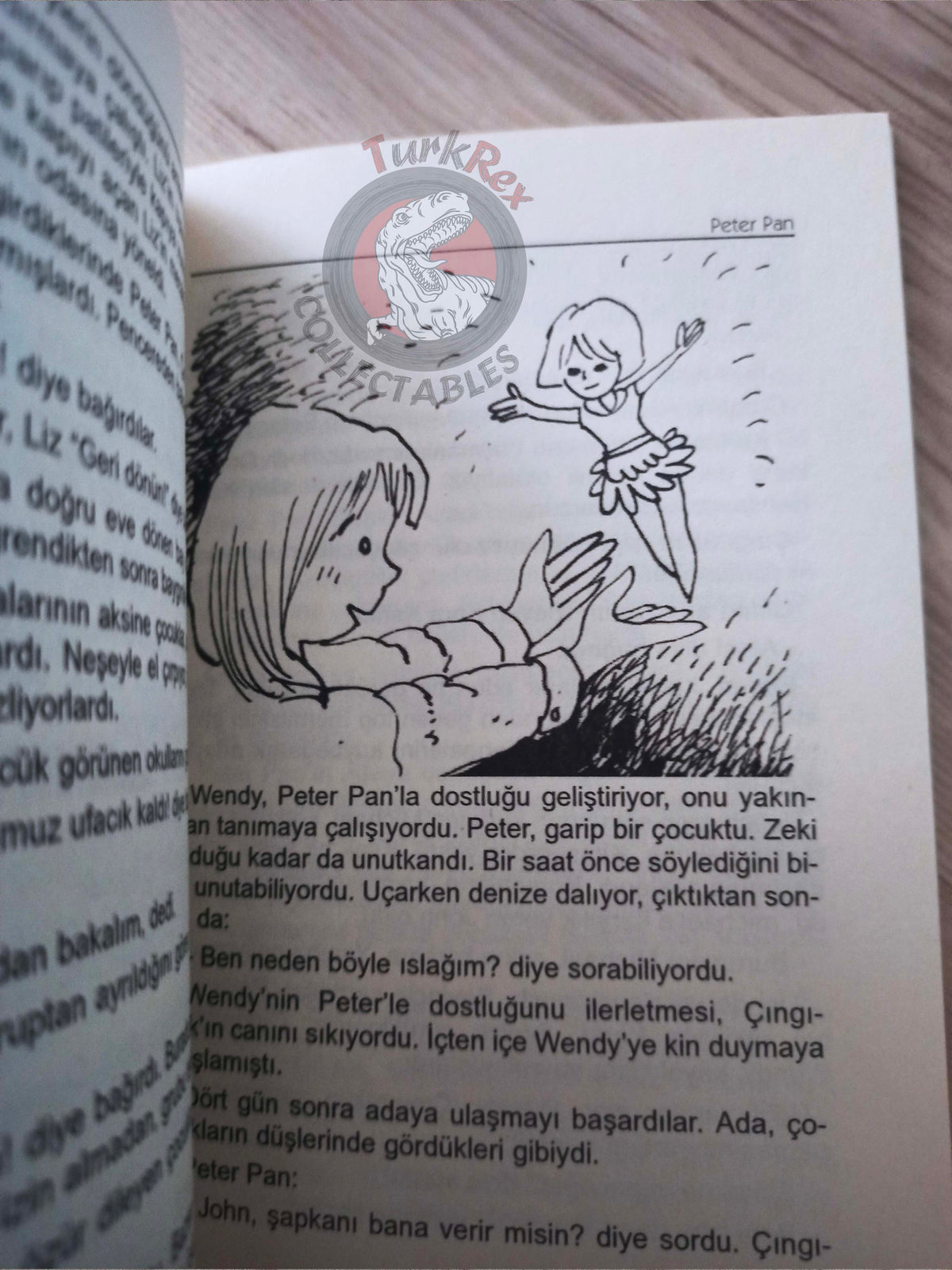 J. M. Barrie – Peter Pan 2011 Turkish Book Turkey Illustrated 2