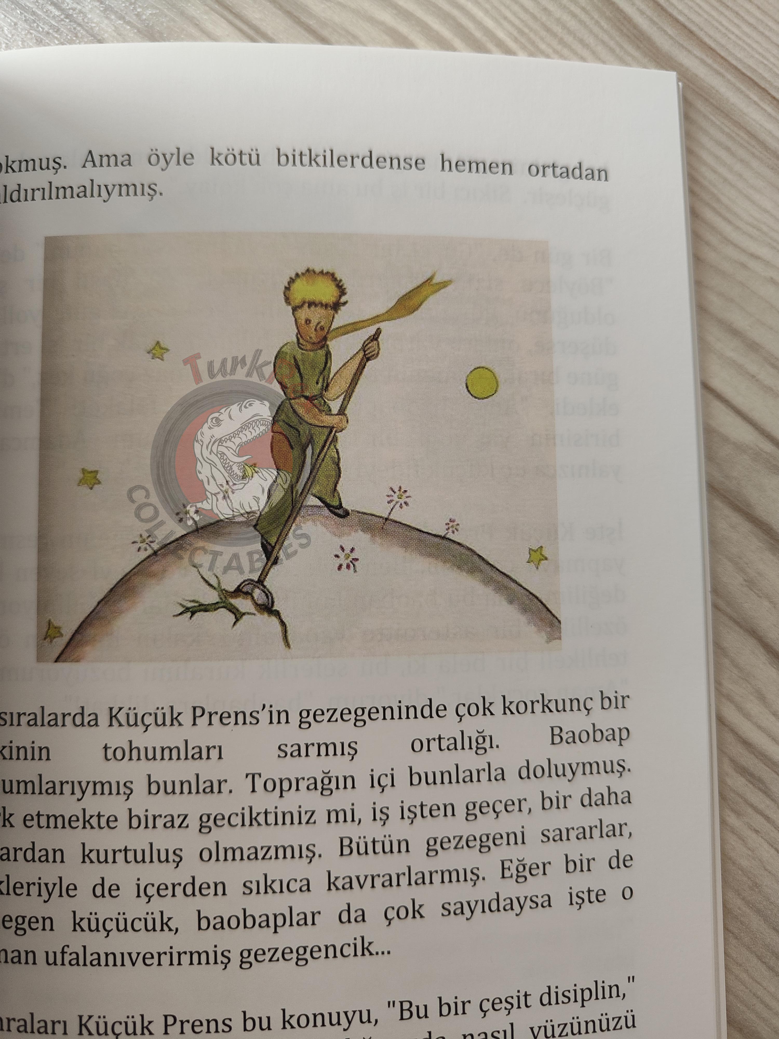 Antoine de Saint-Exupéry – Le Petit Prince 2015 Turkish Book Turkey Illustrated Little 5