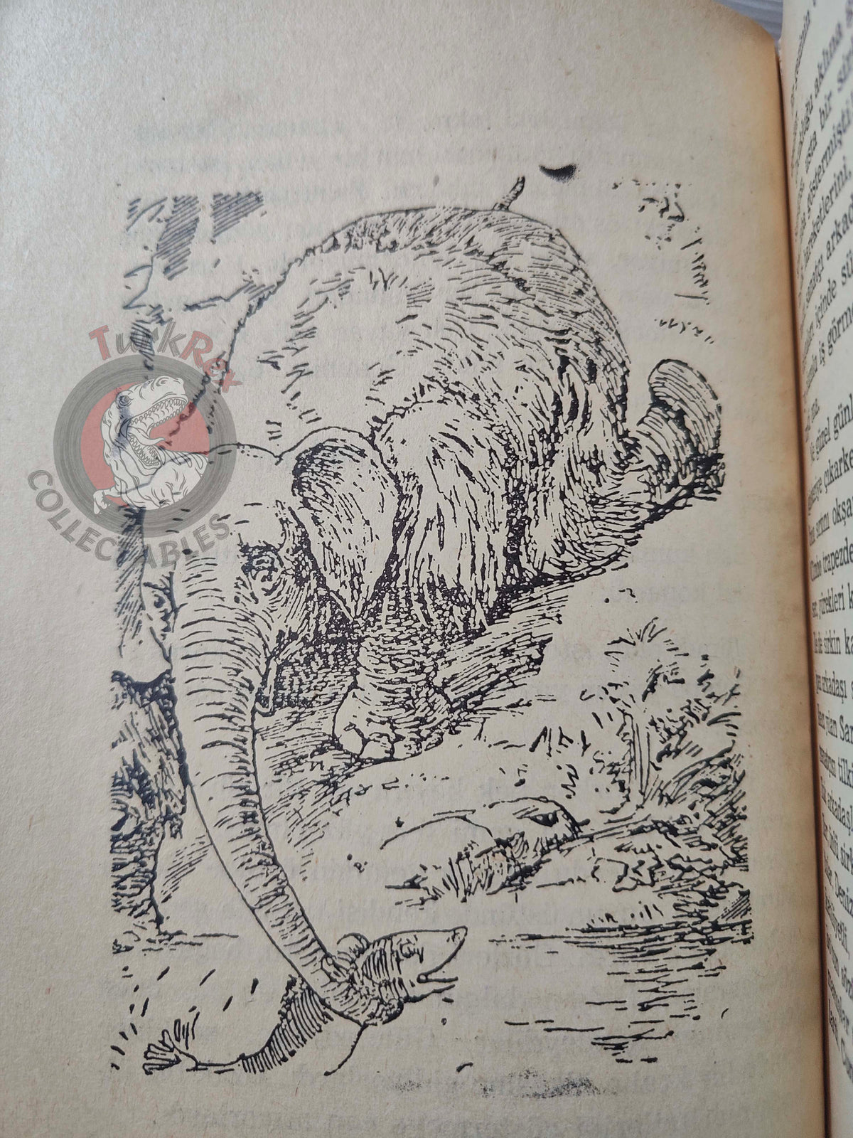 Clifton Bingham – Jumbo Crusoe 1970s Turkish Book Turkey Illustrated