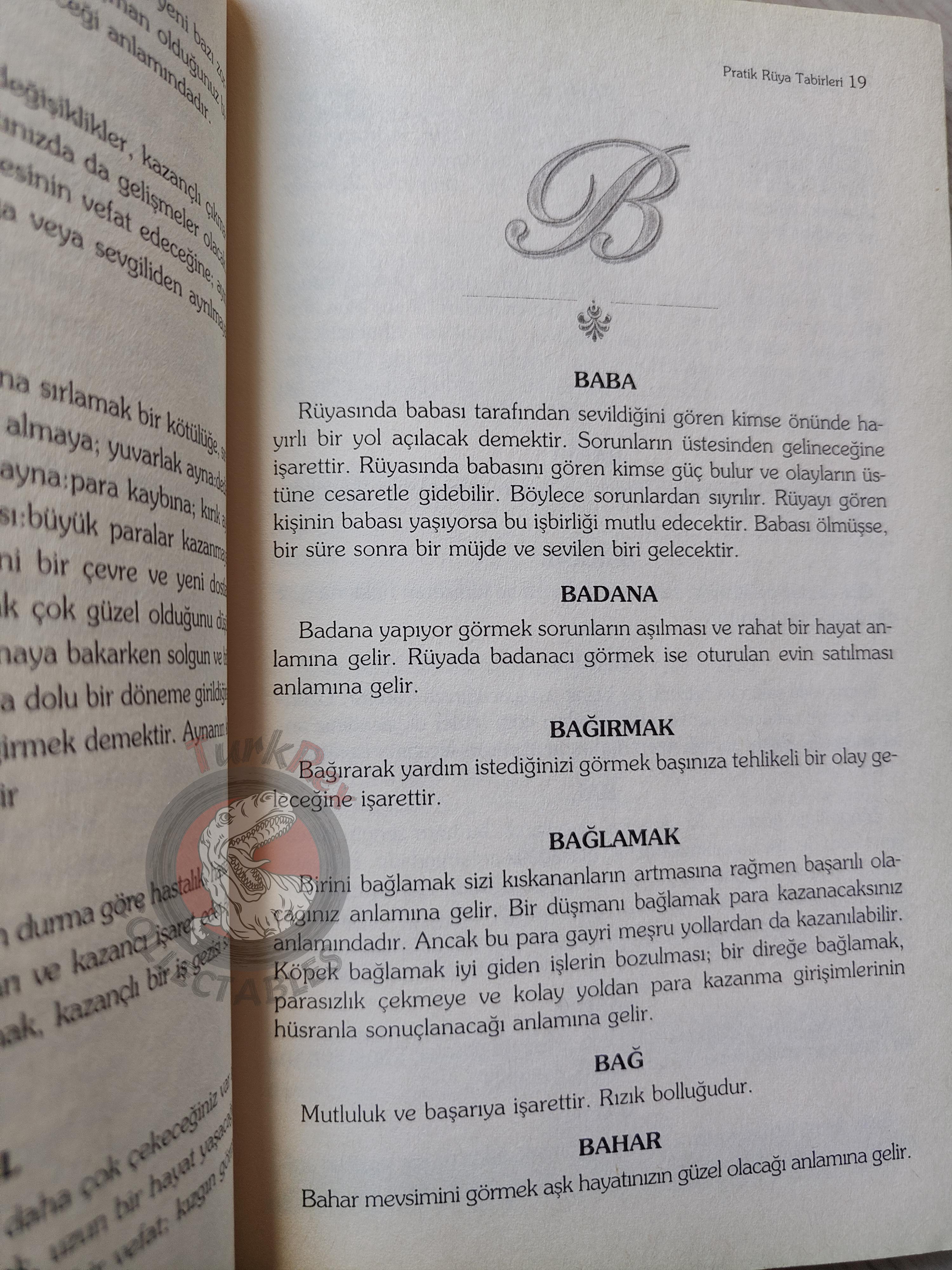 Dream Interpretation Analysis 2005 Turkish Book Turkey