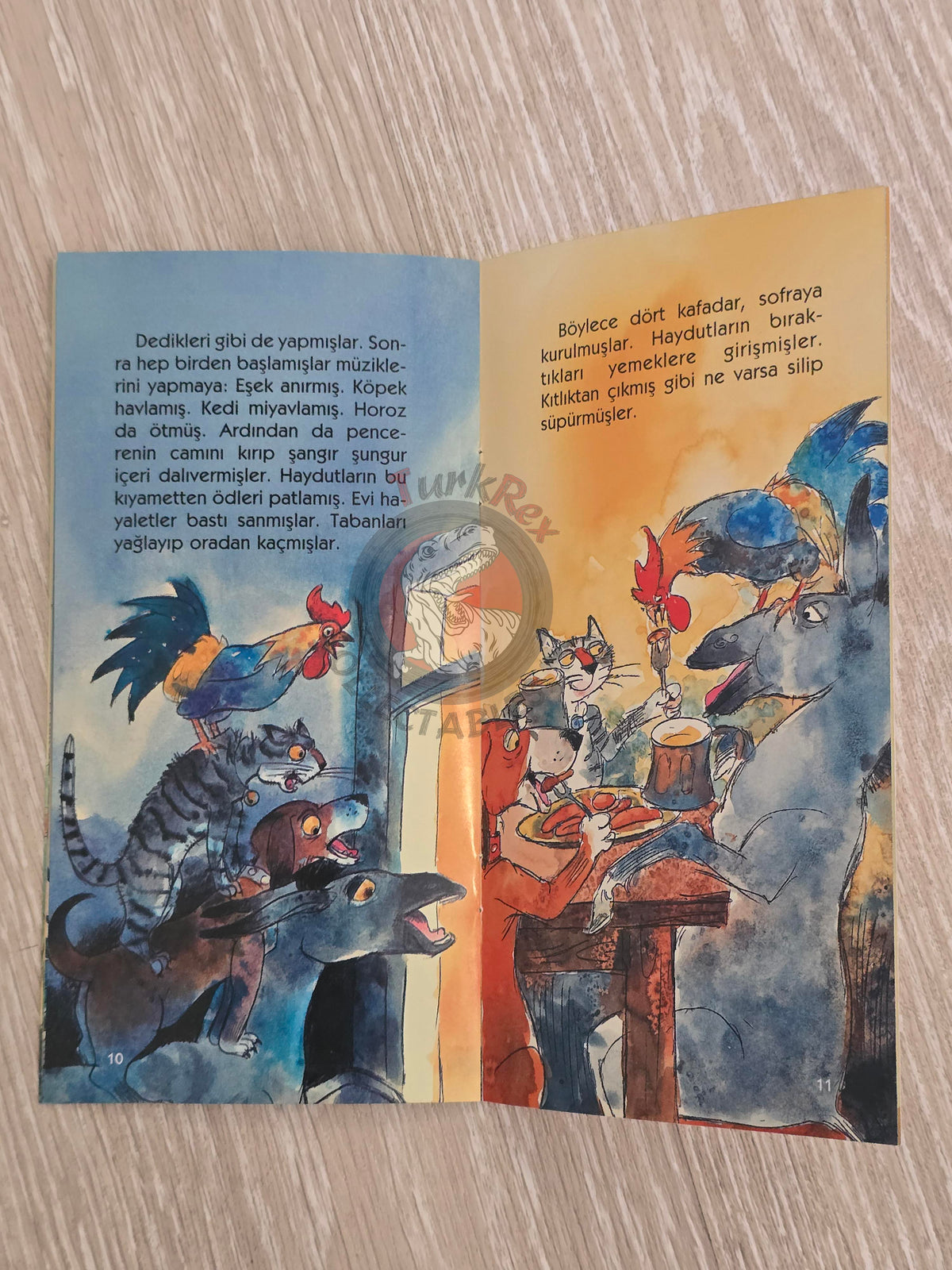 Grimm Brothers – Town Musicians of Bremen 2011 Turkish Book Turkey Illustrated 1