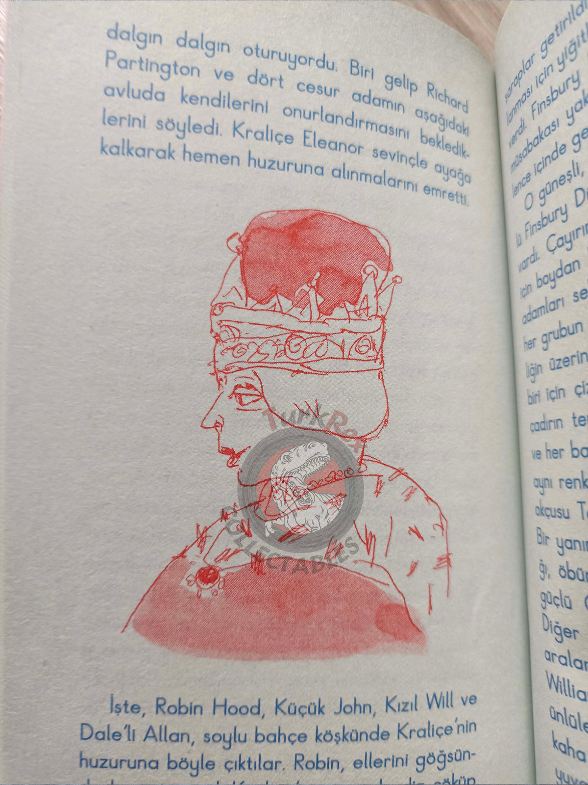 Robin Hood – Howard Pyle 2010 Turkish Book Turkey Illustrated