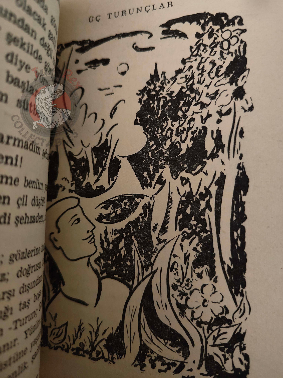The Best Turkish Fairy Tales 1971 Turkish Book Turkey Illustrated Kaloghlan