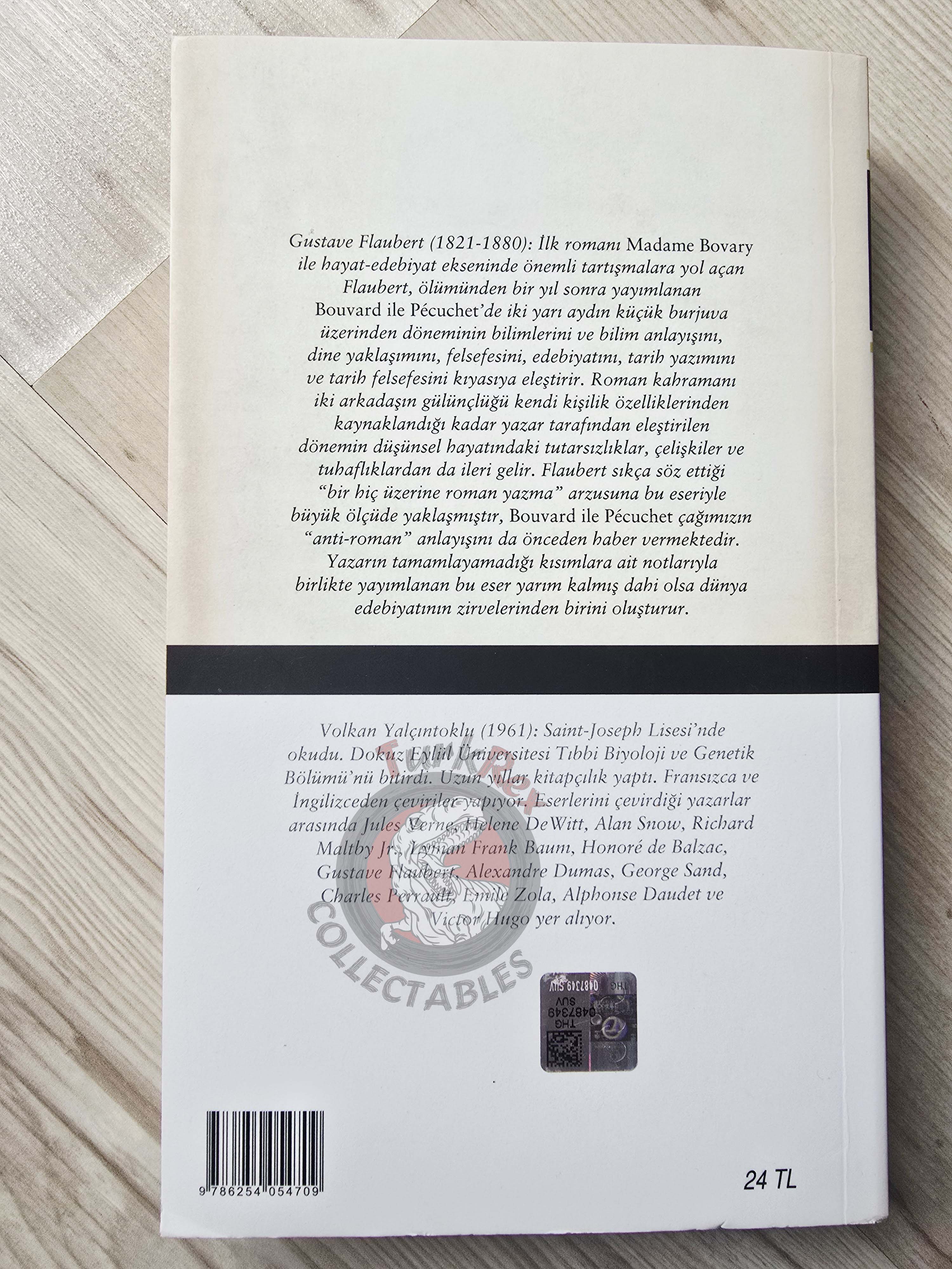 Gustave Flaubert – Bouvard et Pécuchet 2021 Turkish Book Turkey