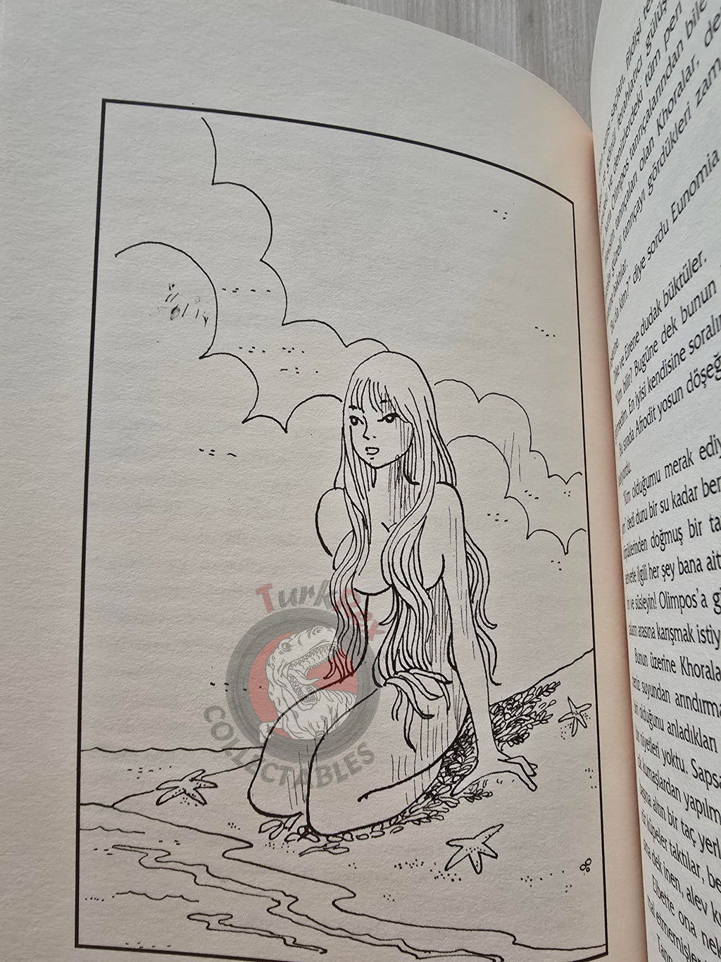 Aphrodite – Robert Krugmann 2003 Turkish Book Turkey Illustrated by Turkish Artist