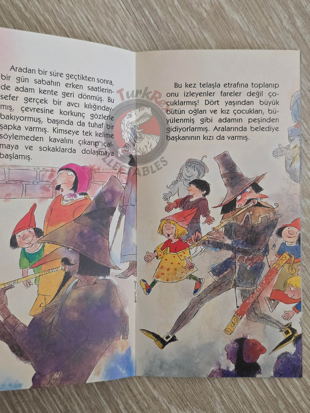 Grimm Brothers – Pied Piper of Hamelin 2011 Turkish Book Turkey Illustrated