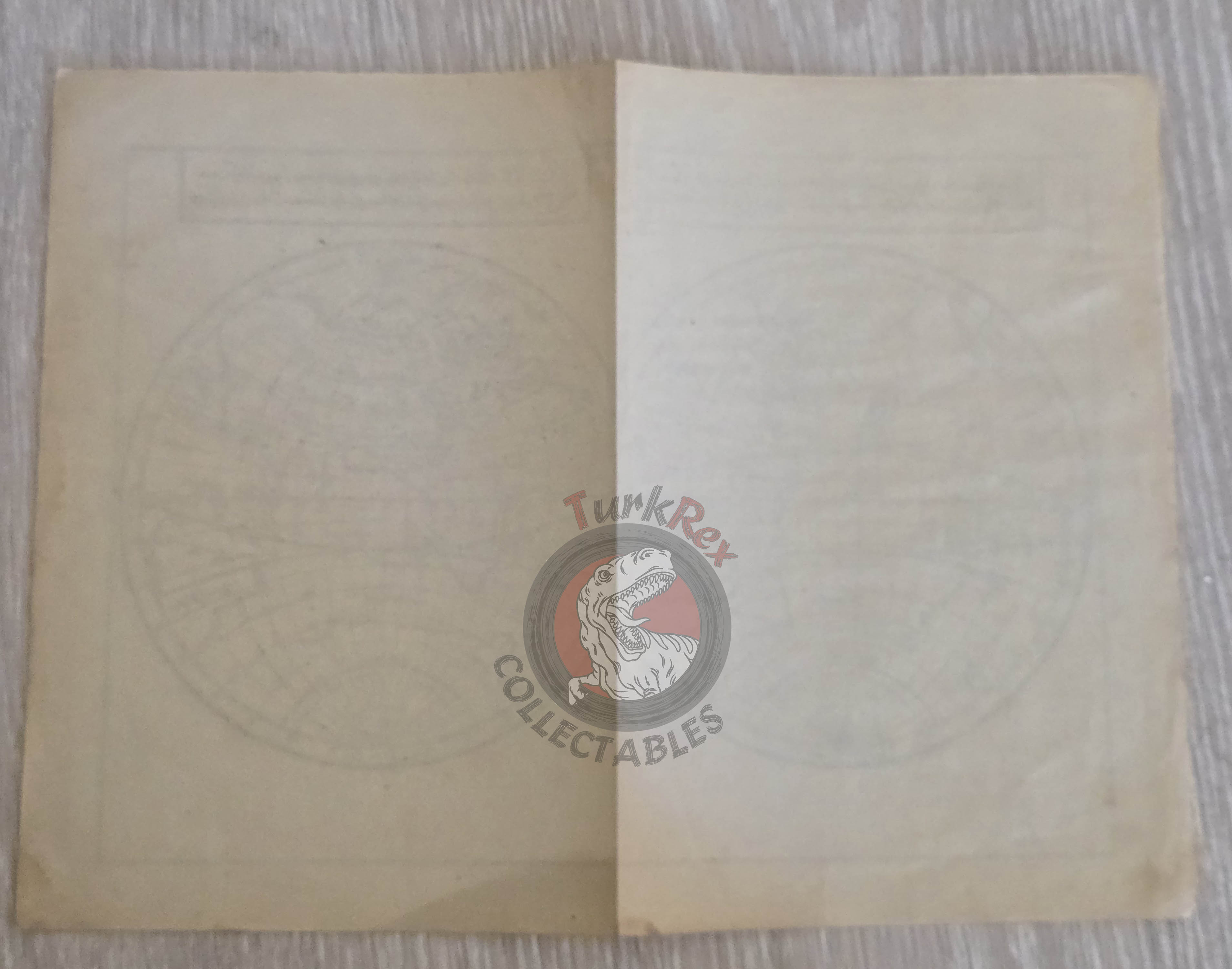 Ottoman Empire World Map Western and Eastern Hemisphere 1913 Katip Çelebi