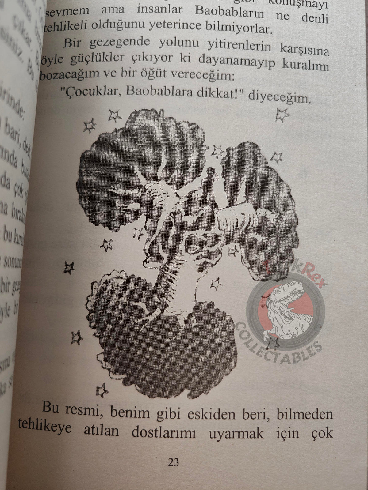 Antoine de Saint-Exupéry – Le Petit Prince 2003 Turkish Book Turkey Illustrated Little 1