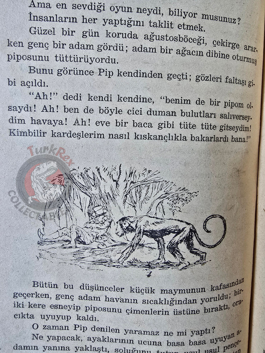 Carlo Collodi – Adventures Of Pipi The Pink Monkey 1961 Turkish Book Turkey Illustrated