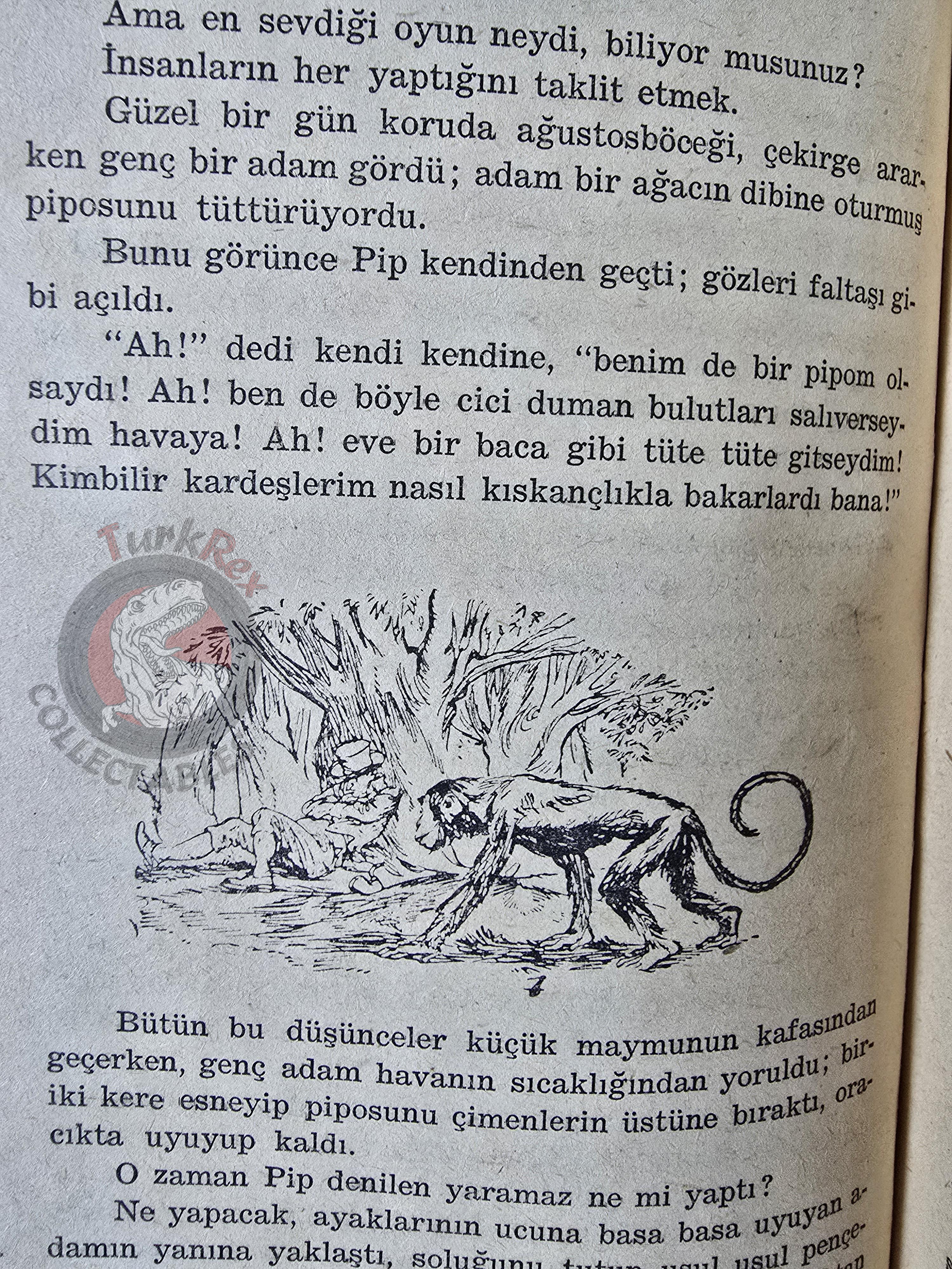 Carlo Collodi – Adventures Of Pipi The Pink Monkey 1961 Turkish Book Turkey Illustrated