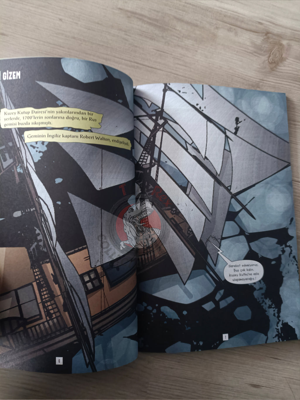 Frankenstein by Mary Shelley Turkish Comic Turkey Stone Arch Books