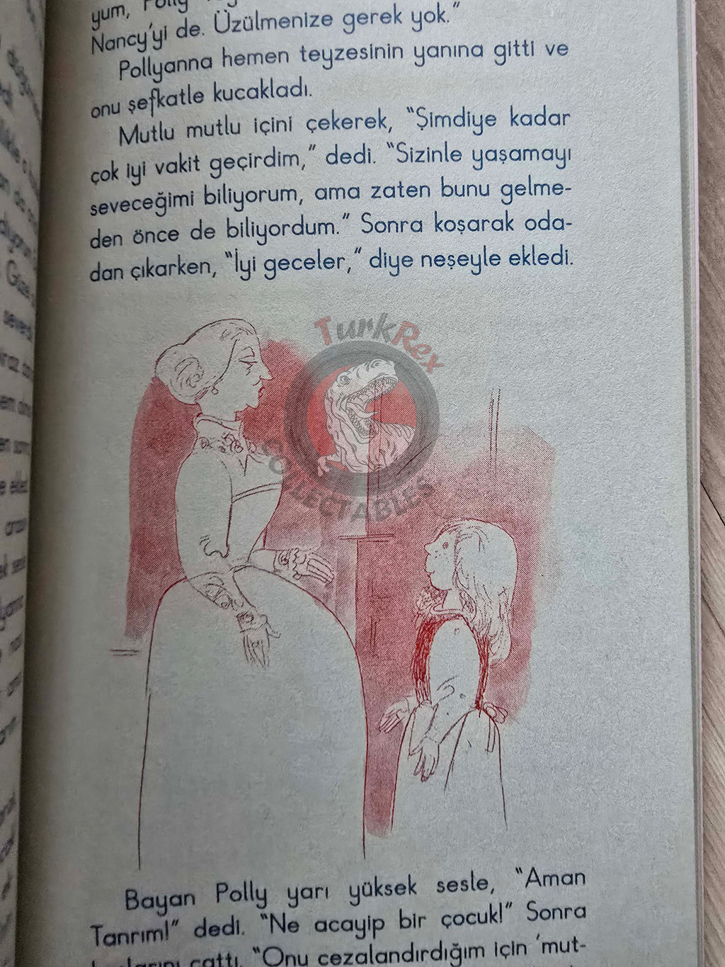 Eleanor H. Porter – Pollyanna 2010 Turkish Book Turkey Illustrated