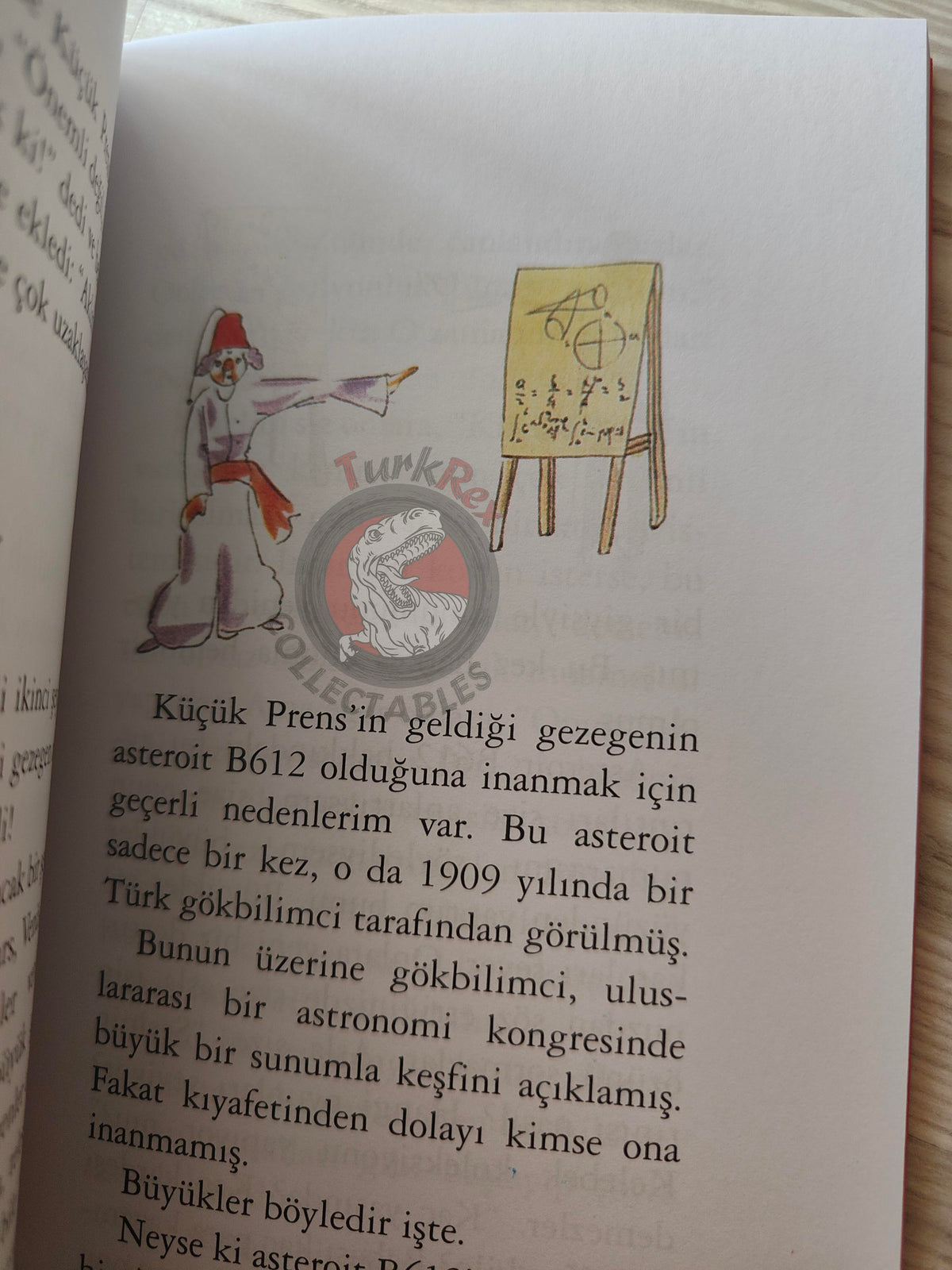 Antoine de Saint-Exupéry – Le Petit Prince 2015 Turkish Book Turkey Illustrated Little 2