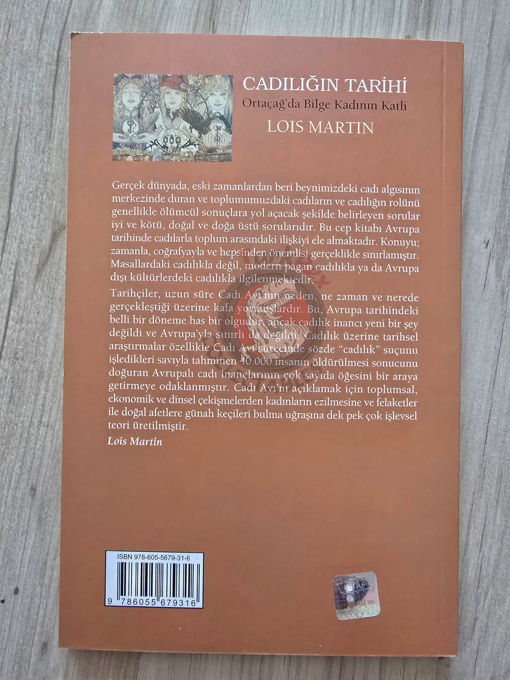 Lois Martin – The History Of Witchcraft 2009 Turkish Book Turkey