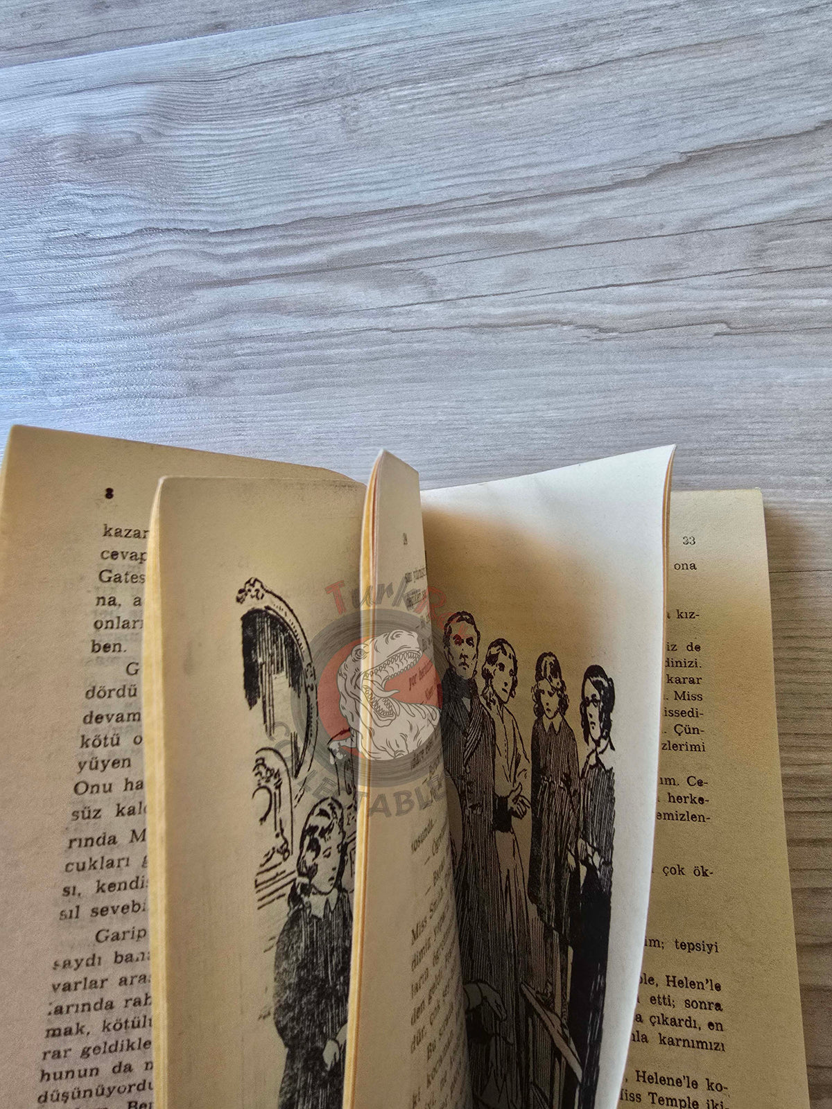 Charlotte Brontë – Jane Eyre 1972 Turkish Book Turkey Illustrated Maurice Toussaint