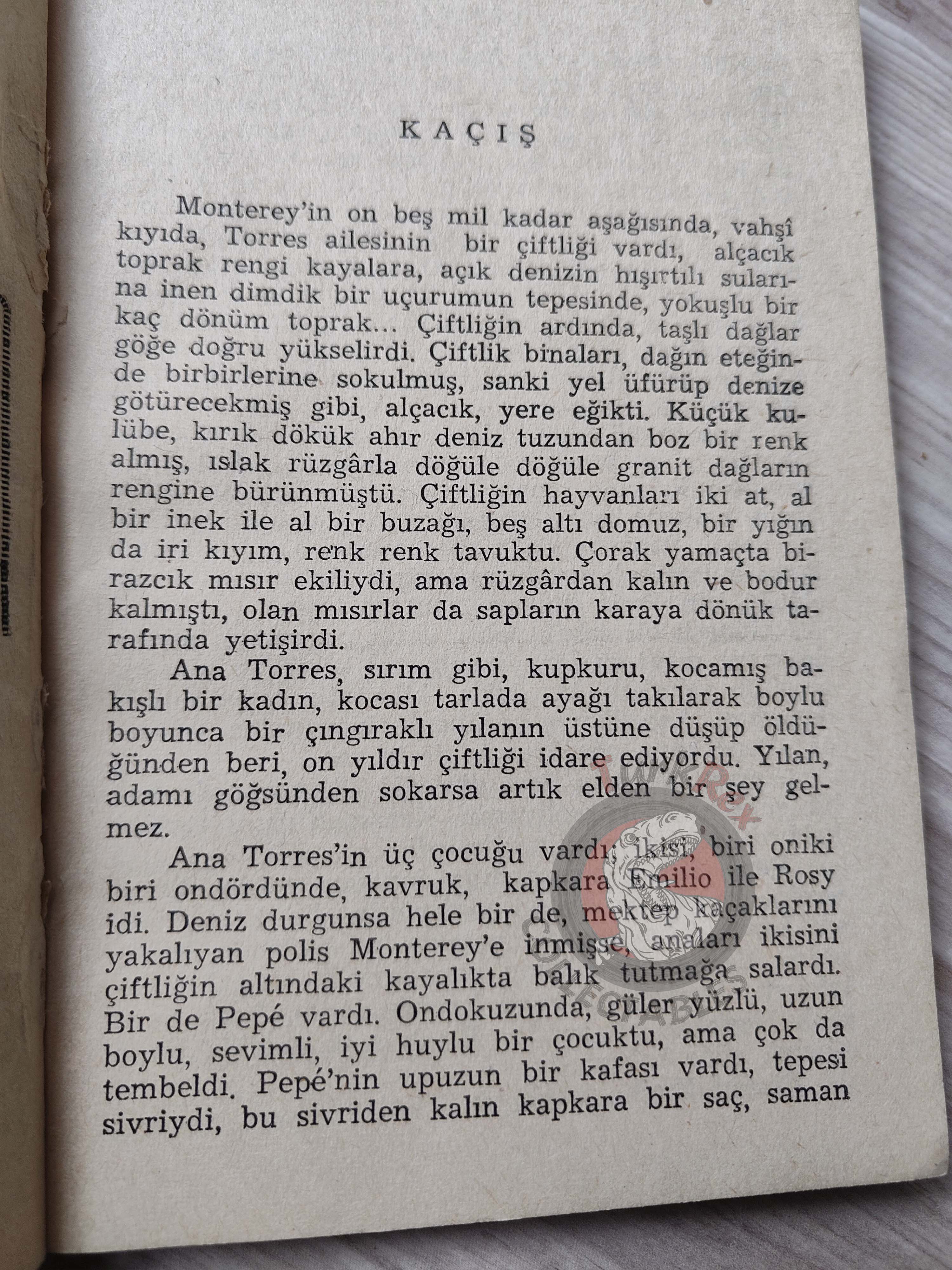 John Steinbeck – The Long Valley 1954 1st Turkish Book Turkey