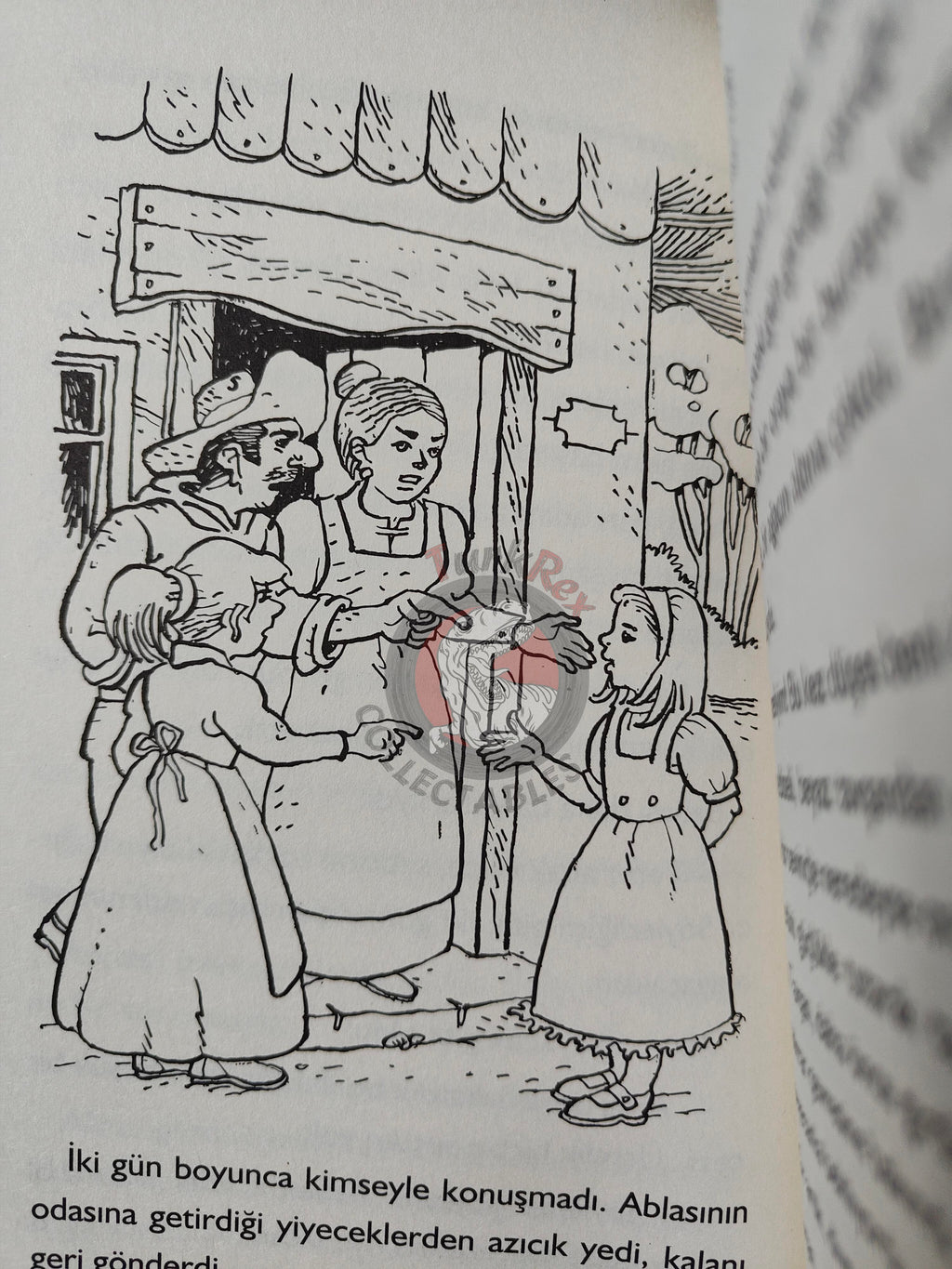 Lewis Carroll – Alice in Wonderland 2013 Turkish Book Turkey Illustrated
