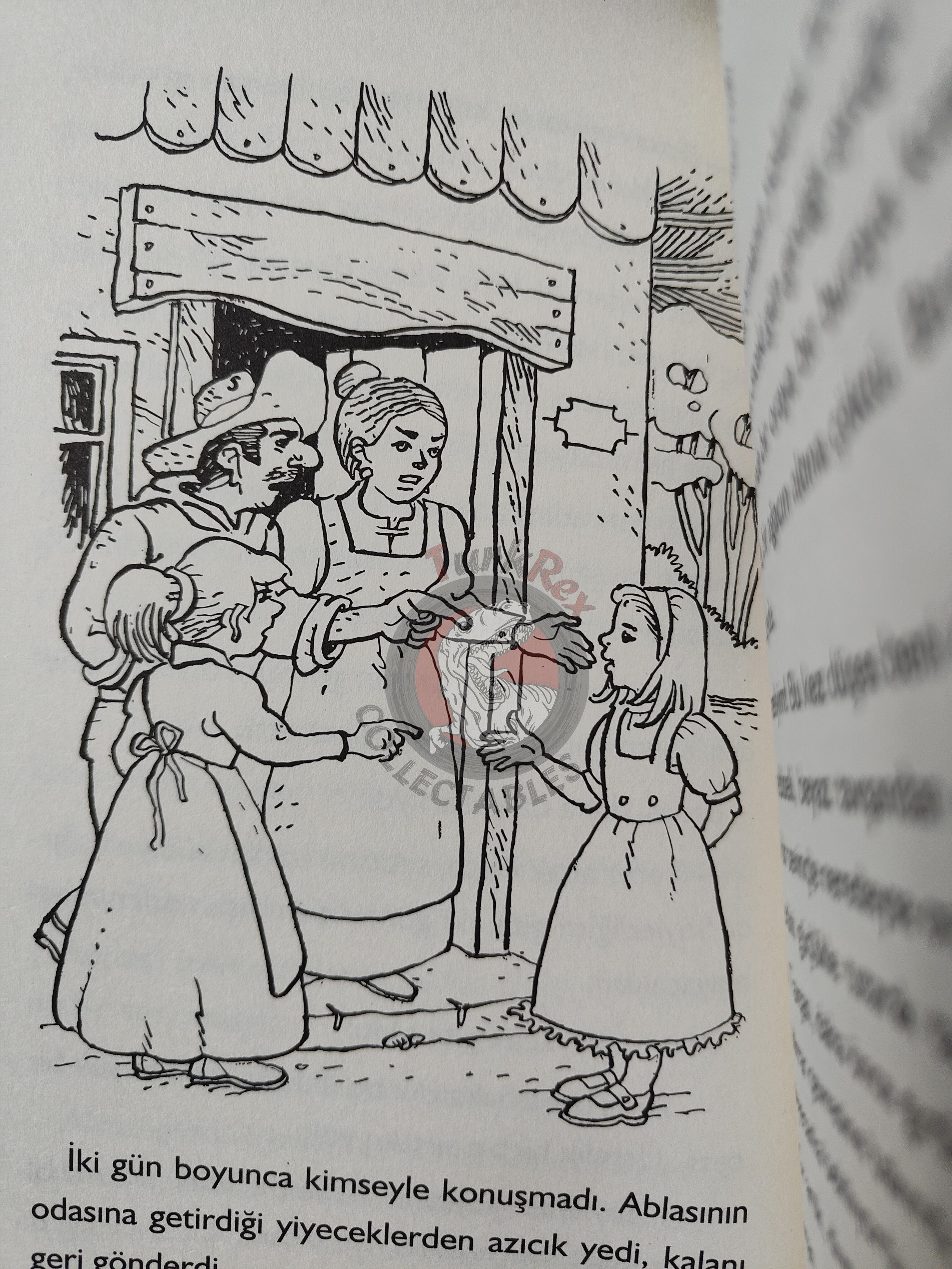 Lewis Carroll – Alice in Wonderland 2013 Turkish Book Turkey Illustrated