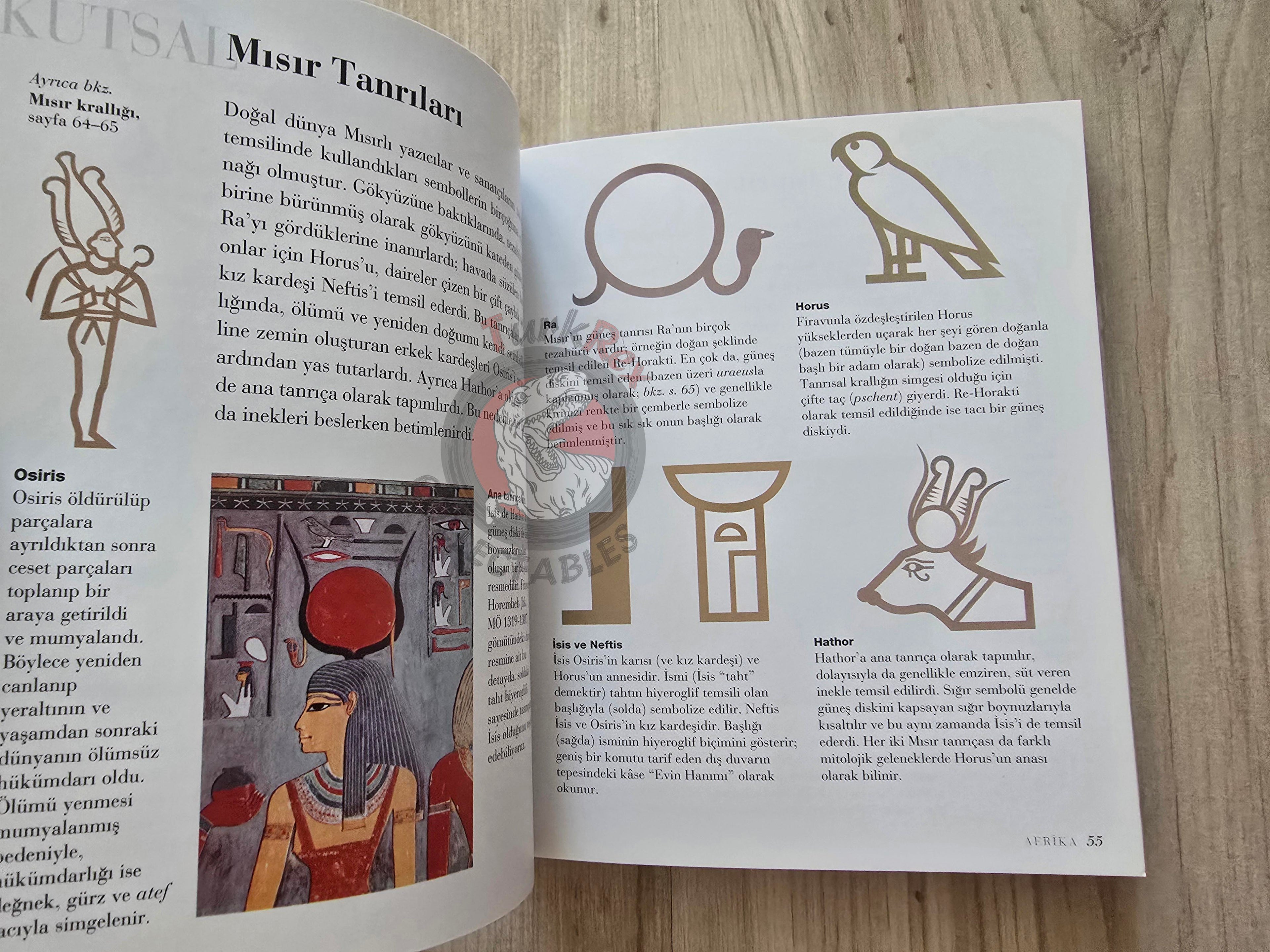 Clare Gibson – How To Read Symbols 2013 Turkish Book Turkey