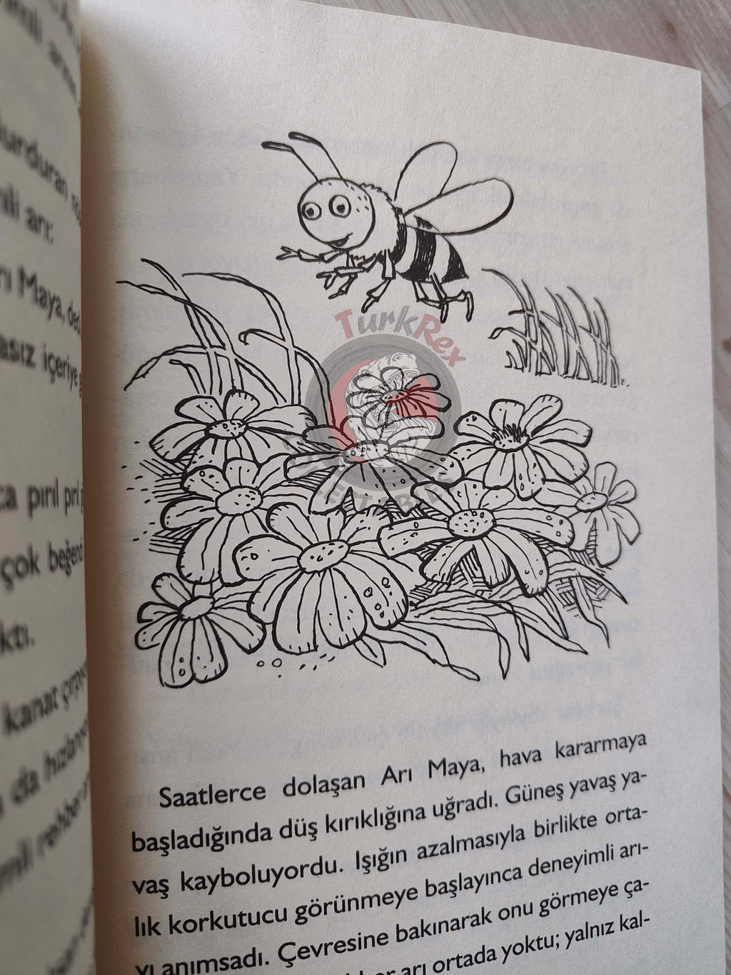 Waldemar Bonsels – Maya the Bee 2013 Turkish Book Turkey Illustrated