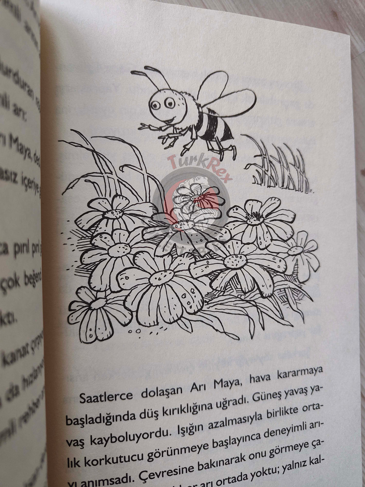 Waldemar Bonsels – Maya the Bee 2013 Turkish Book Turkey Illustrated