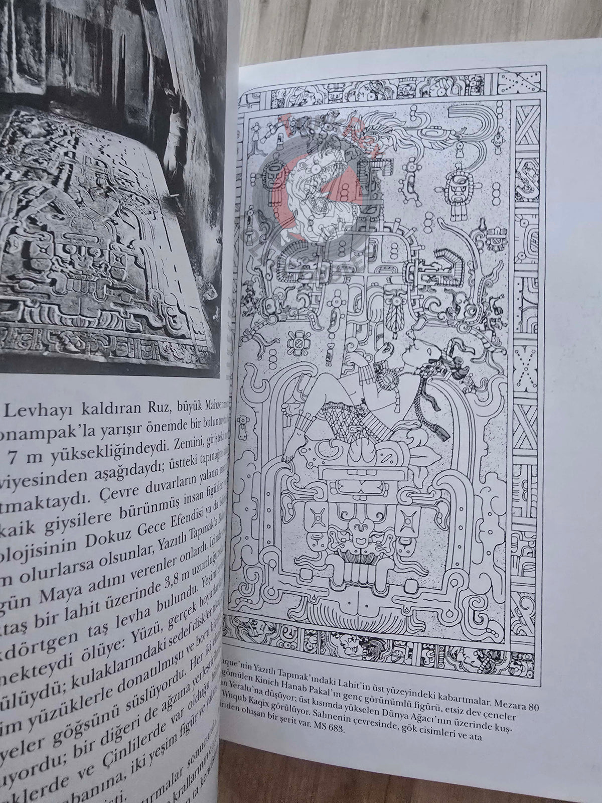 Michael D. Coe – The Maya 2002 1st Turkish Book Turkey