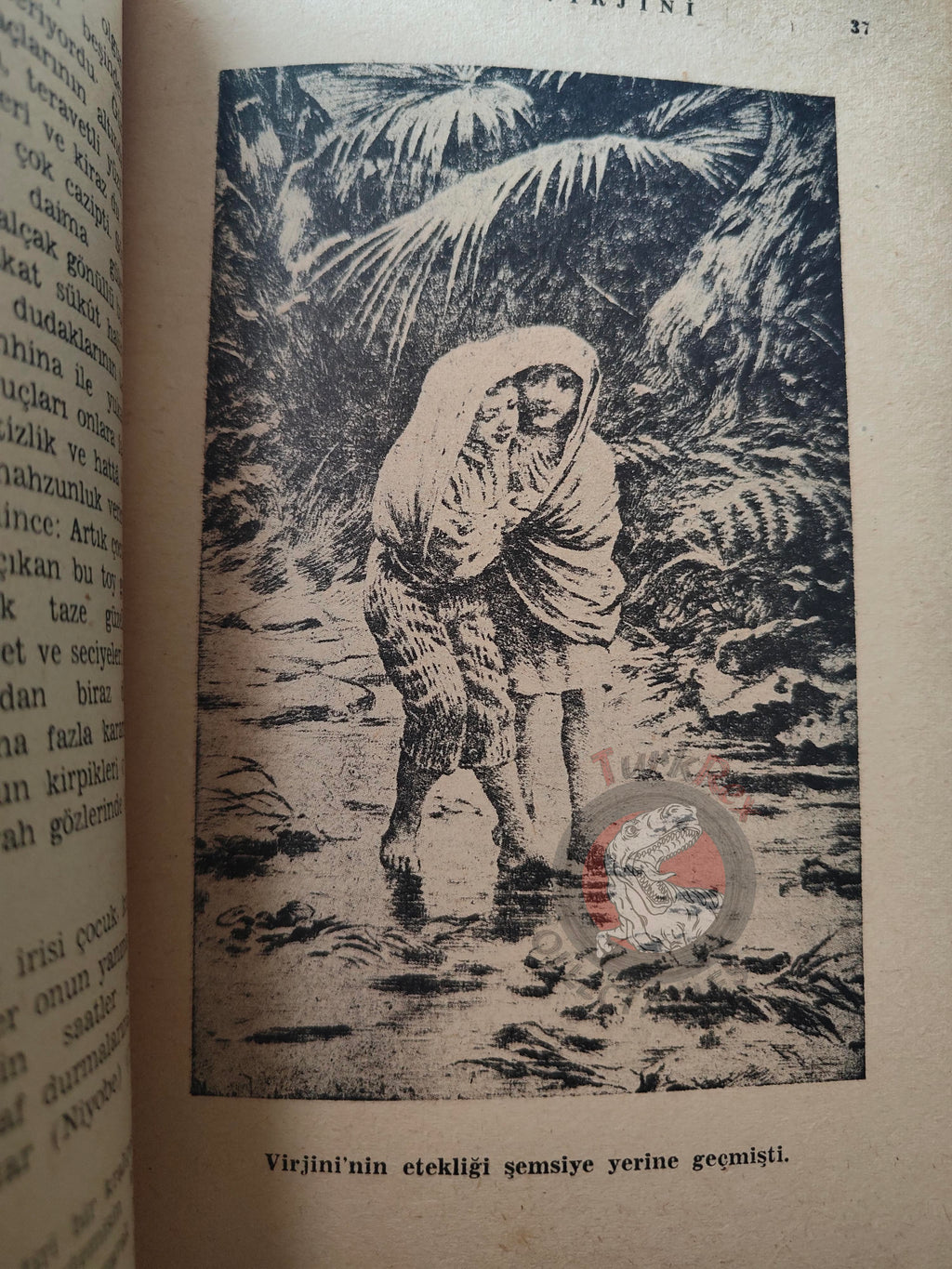 Bernardin de Saint-Pierre – Paul et Virginie 1960s Turkish Book Turkey Illustrated Tony Johannot
