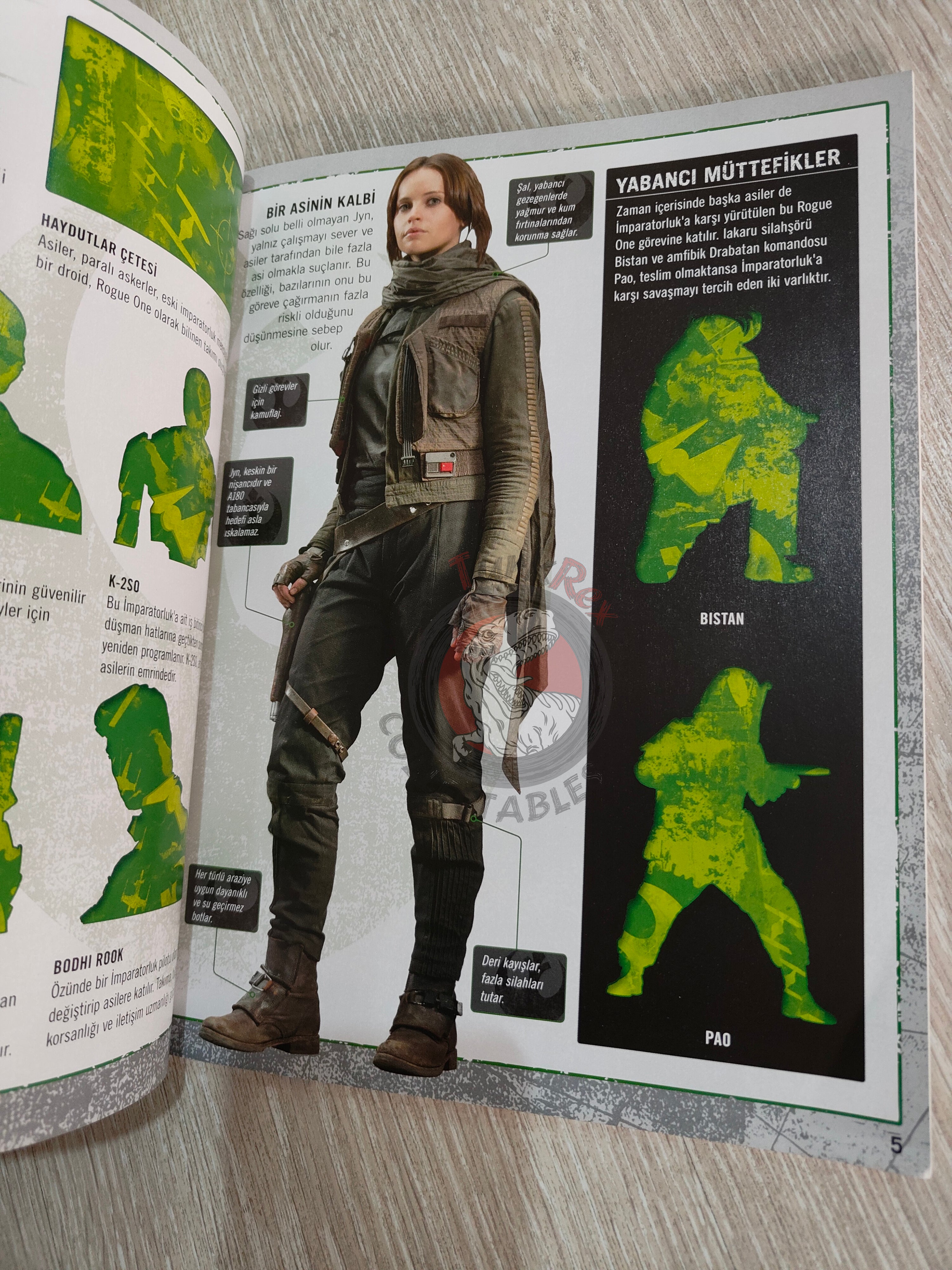 Star Wars: Rogue One: Ultimate Sticker Encyclopedia 2017 Turkish Book Turkey