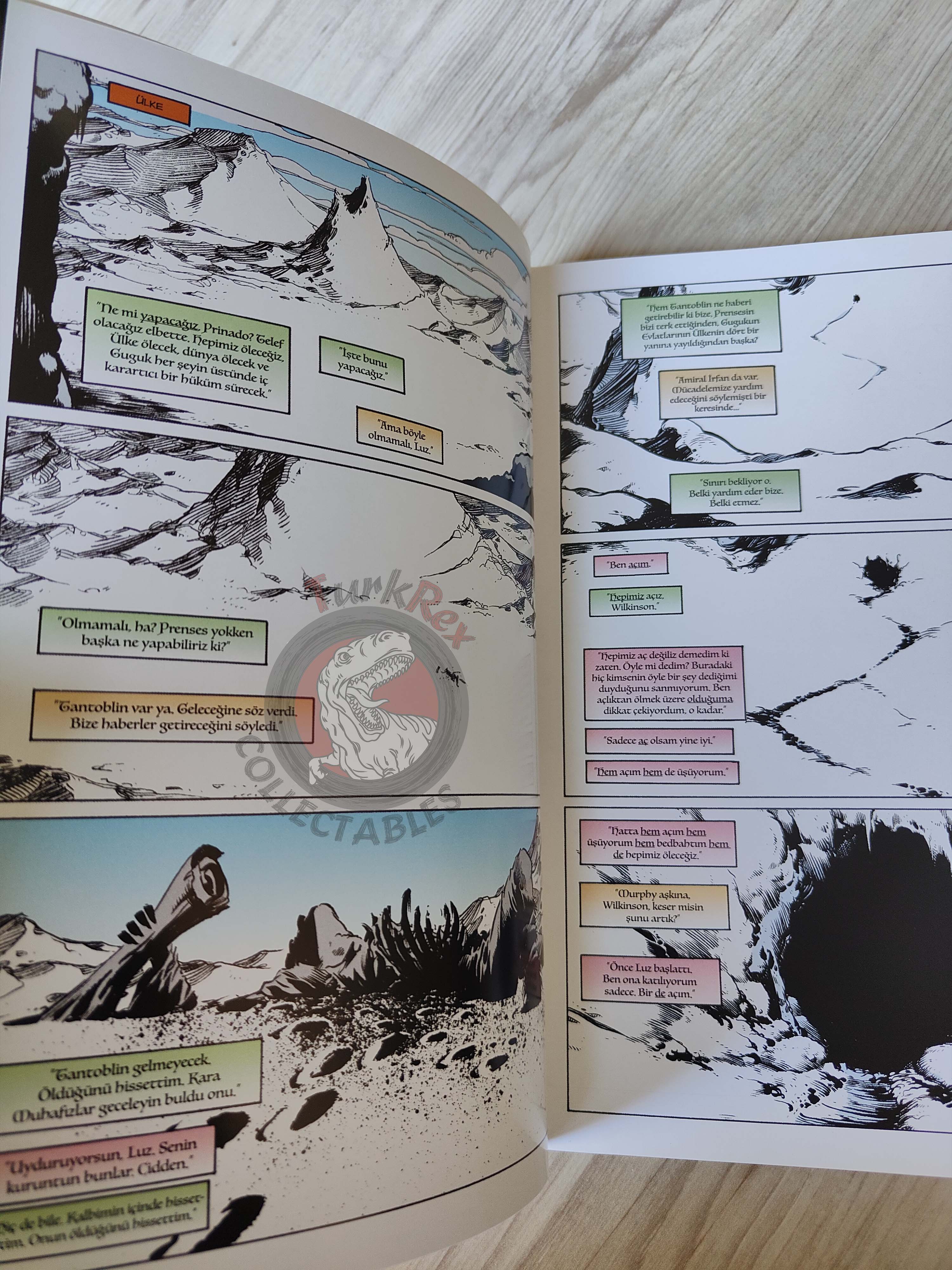 The Sandman Vol #5: A Game of You Turkish Comic Turkey