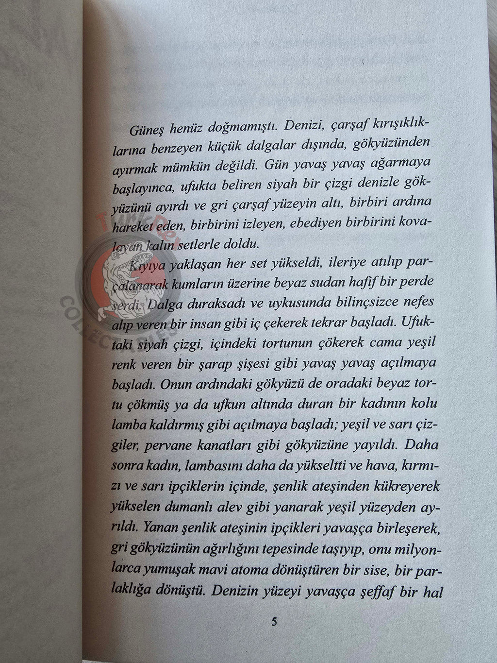 Virginia Woolf – The Waves 2019 Turkish Book Turkey