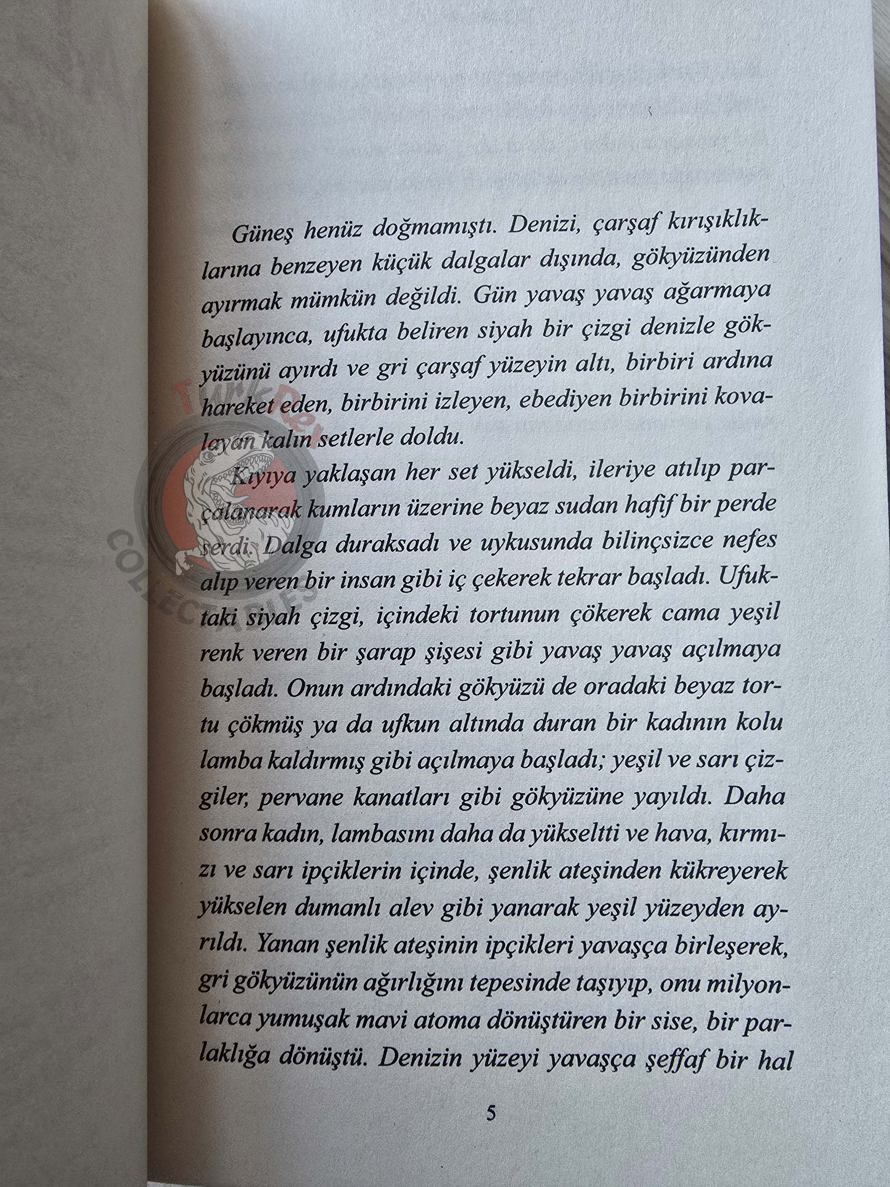 Virginia Woolf – The Waves 2019 Turkish Book Turkey