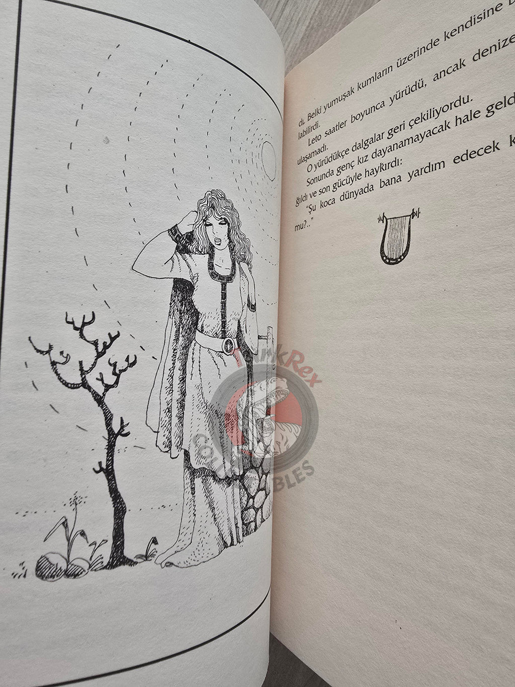 Apollo – Robert Krugmann 2003 Turkish Book Turkey Illustrated by Turkish Artist