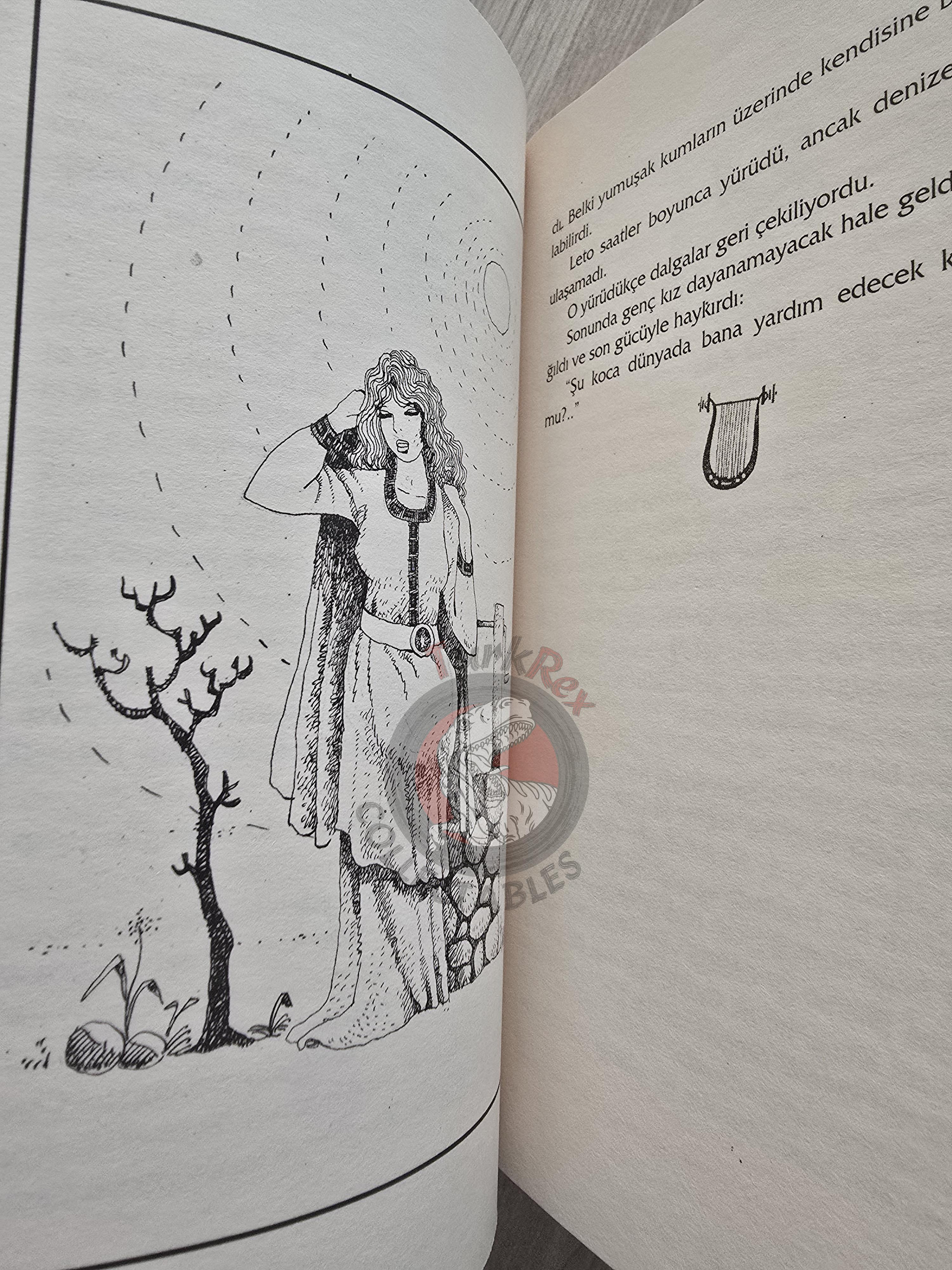 Apollo – Robert Krugmann 2003 Turkish Book Turkey Illustrated by Turkish Artist