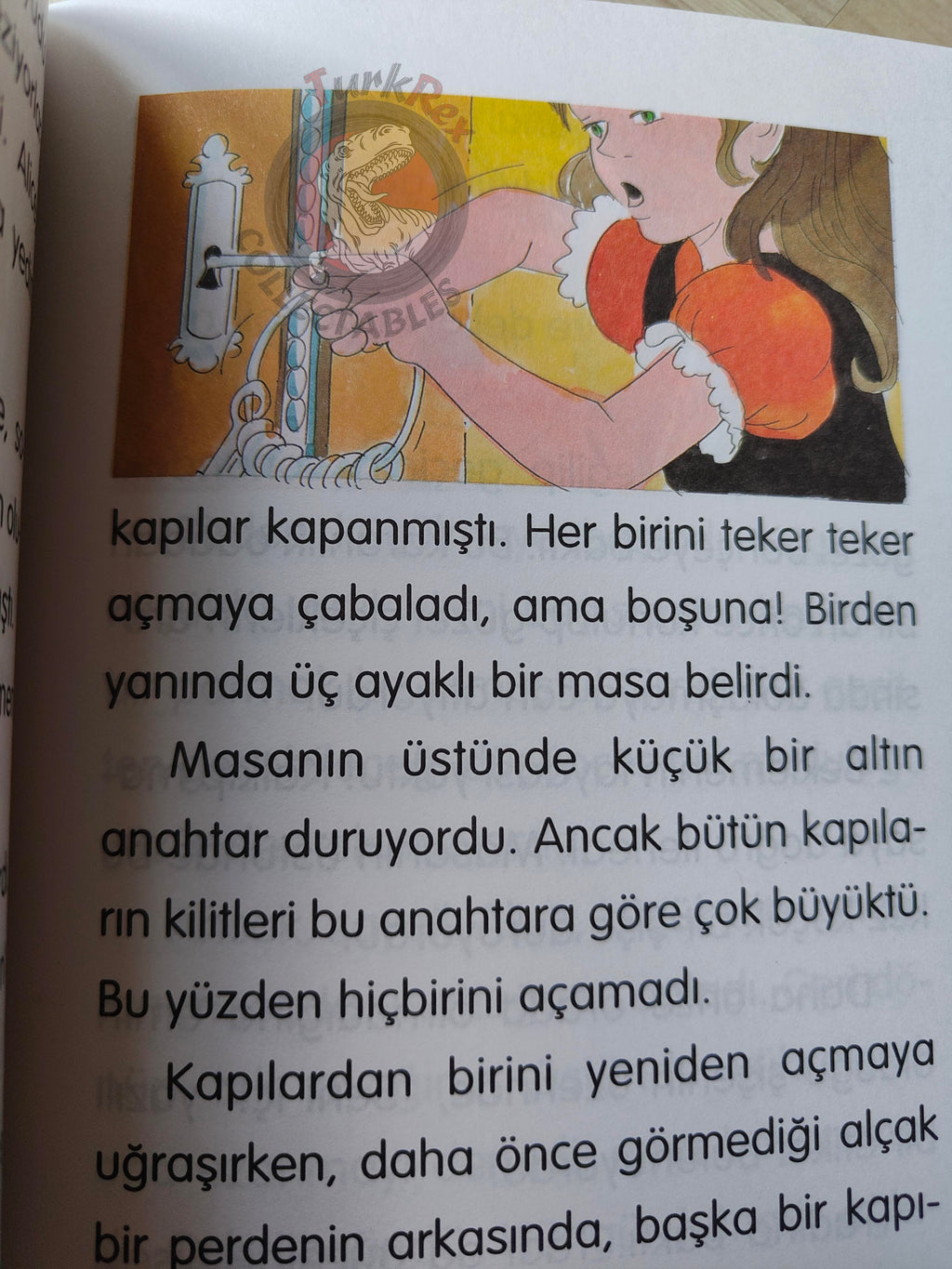 Lewis Carroll – Alice in Wonderland 2001 Turkish Book Turkey Illustrated